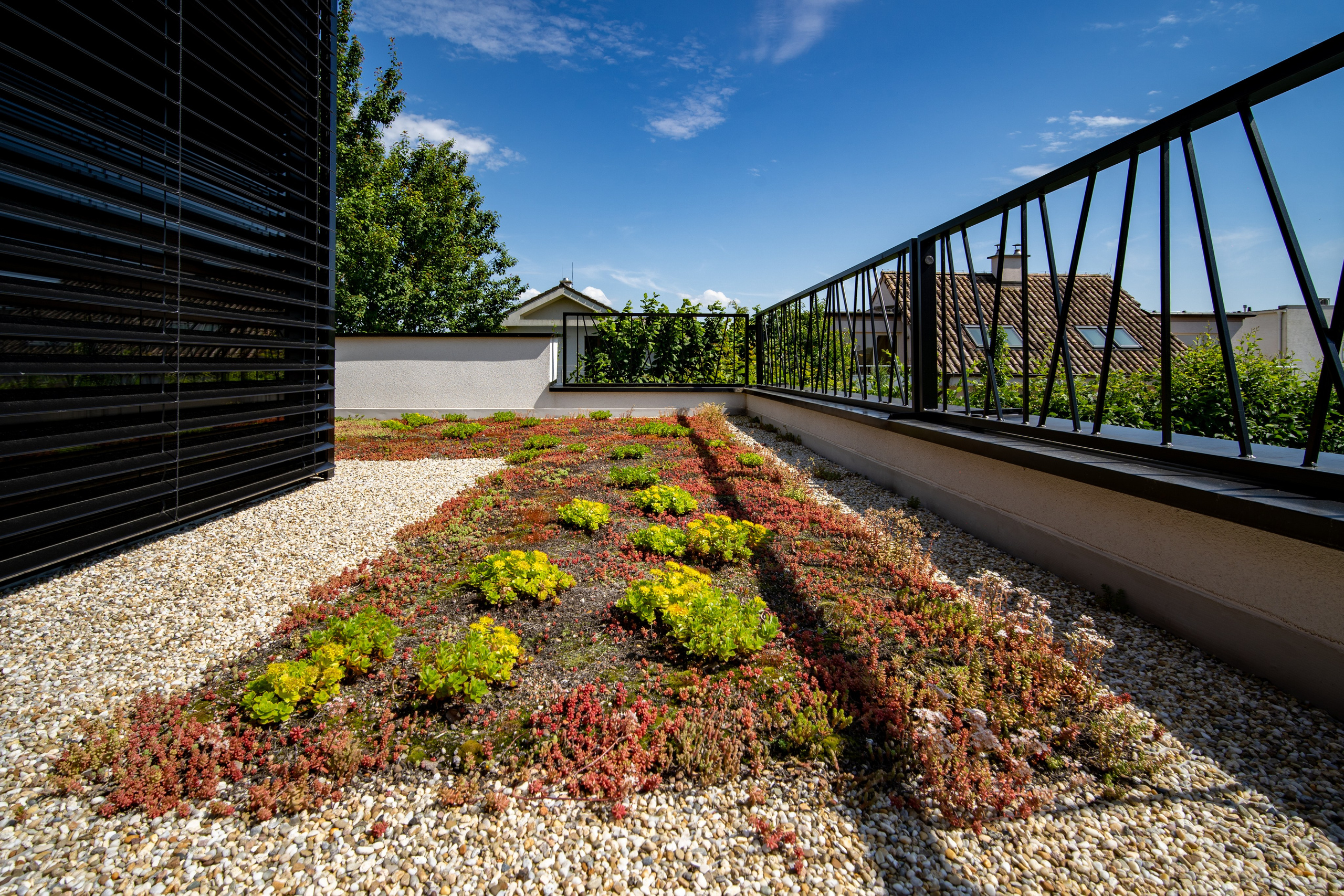 BEŽECKÁ 11. Photographer and videographer in Norway and Slovakia Andrea Zemko