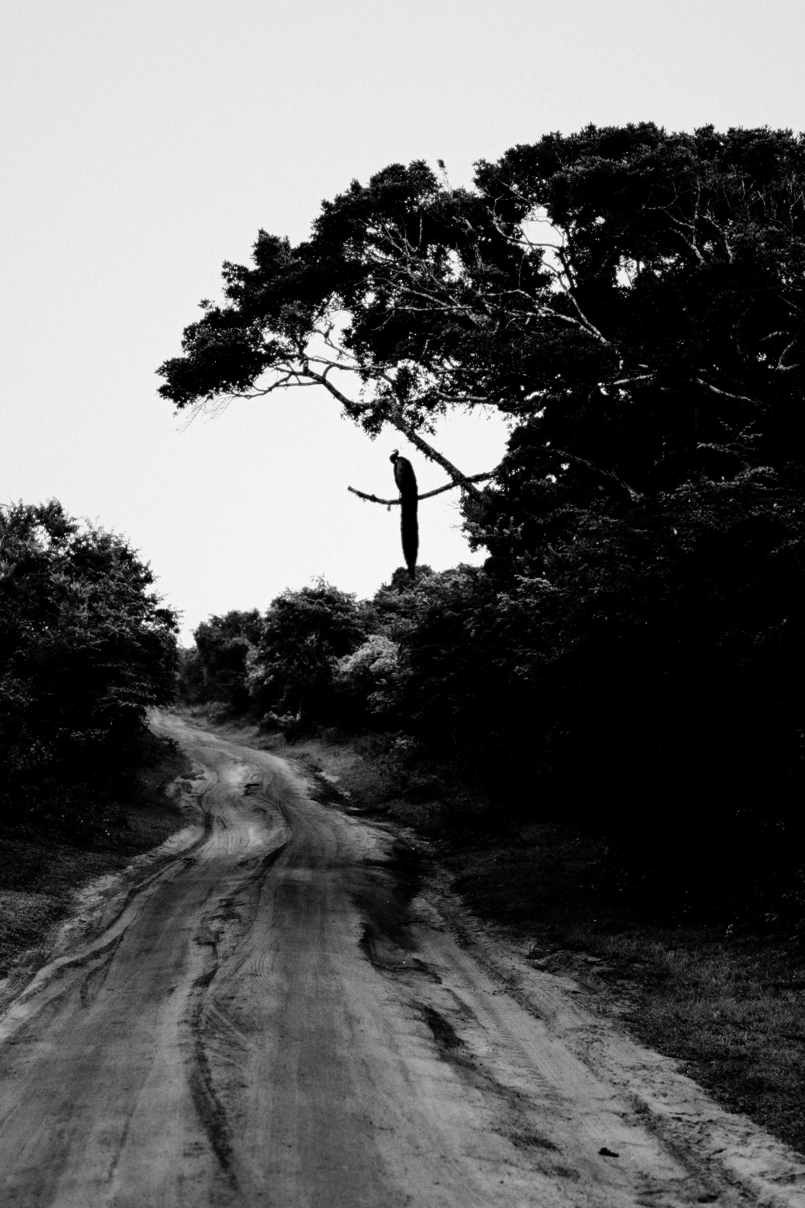 Ыы. Фотограф Андрей Друк