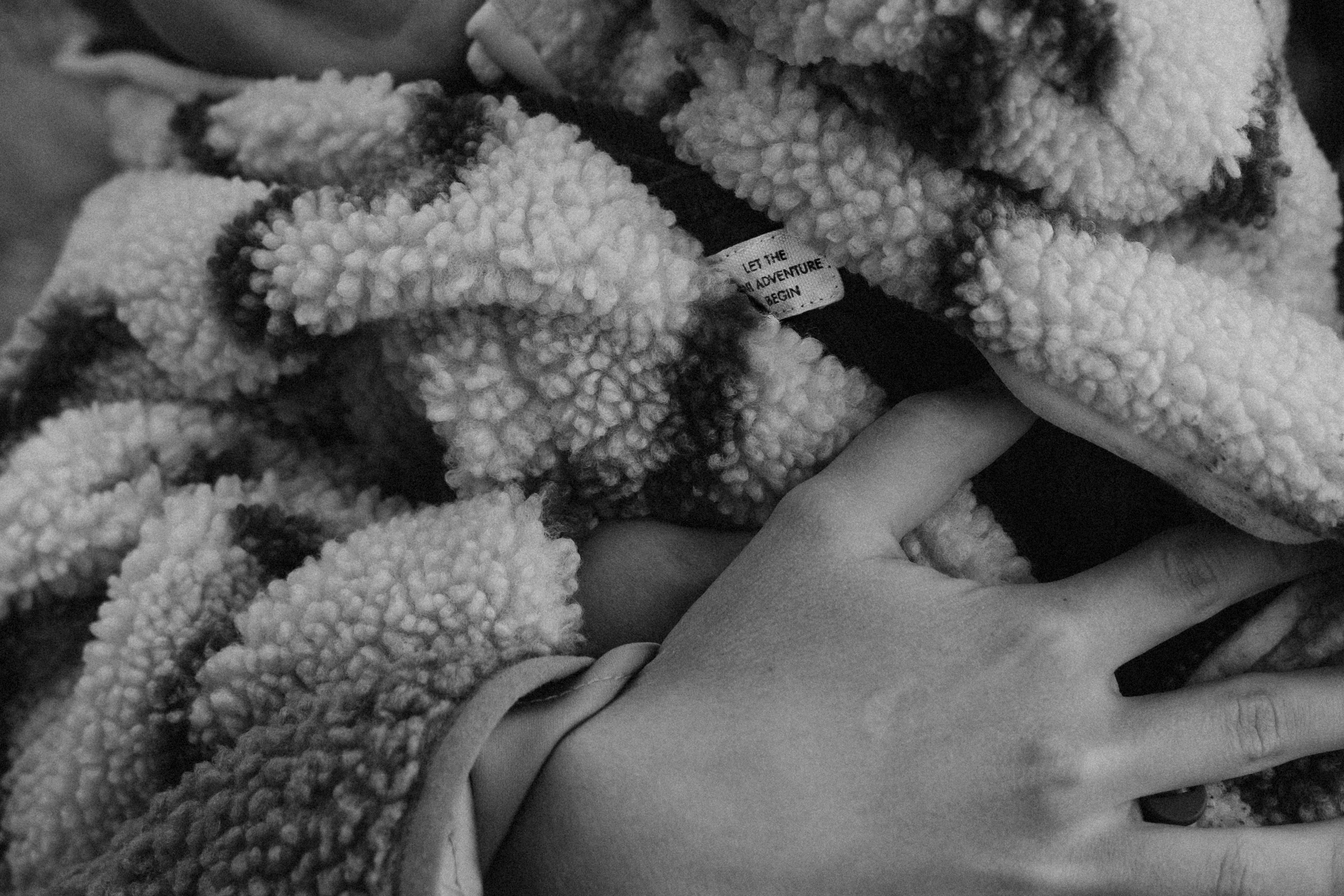 Three generations & one tail. Фотографы Минск и мир