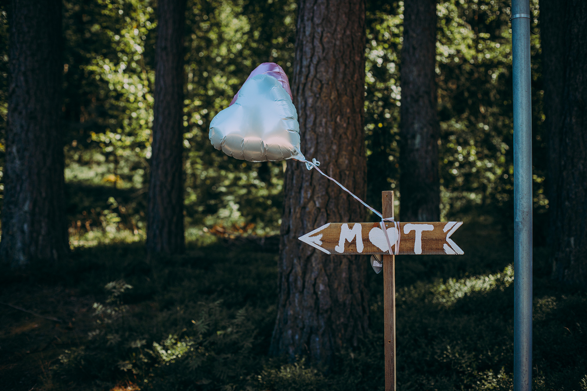 M & T. Valokuvaaja Itä-Uudellamaalla Viktoria photography