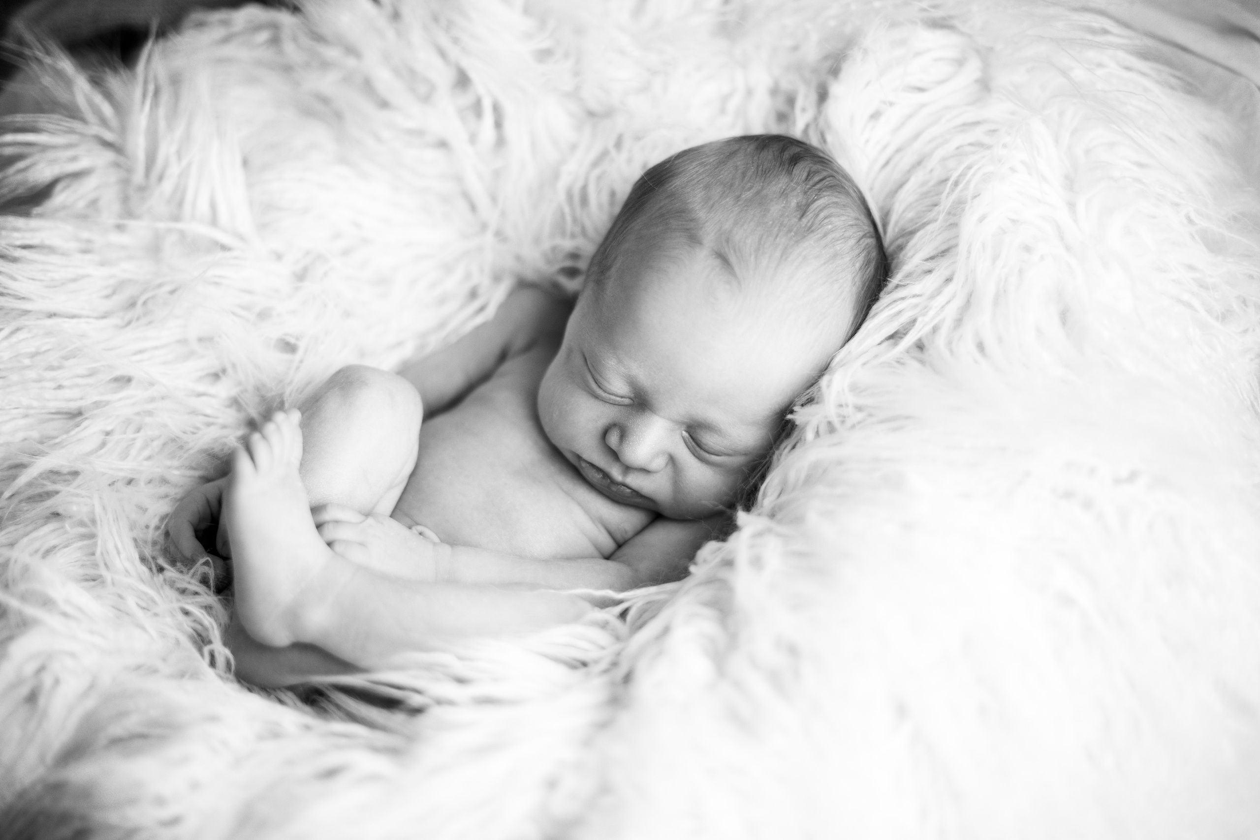 NEWBORN. Valokuvaaja Itä-Uudellamaalla Viktoria photography
