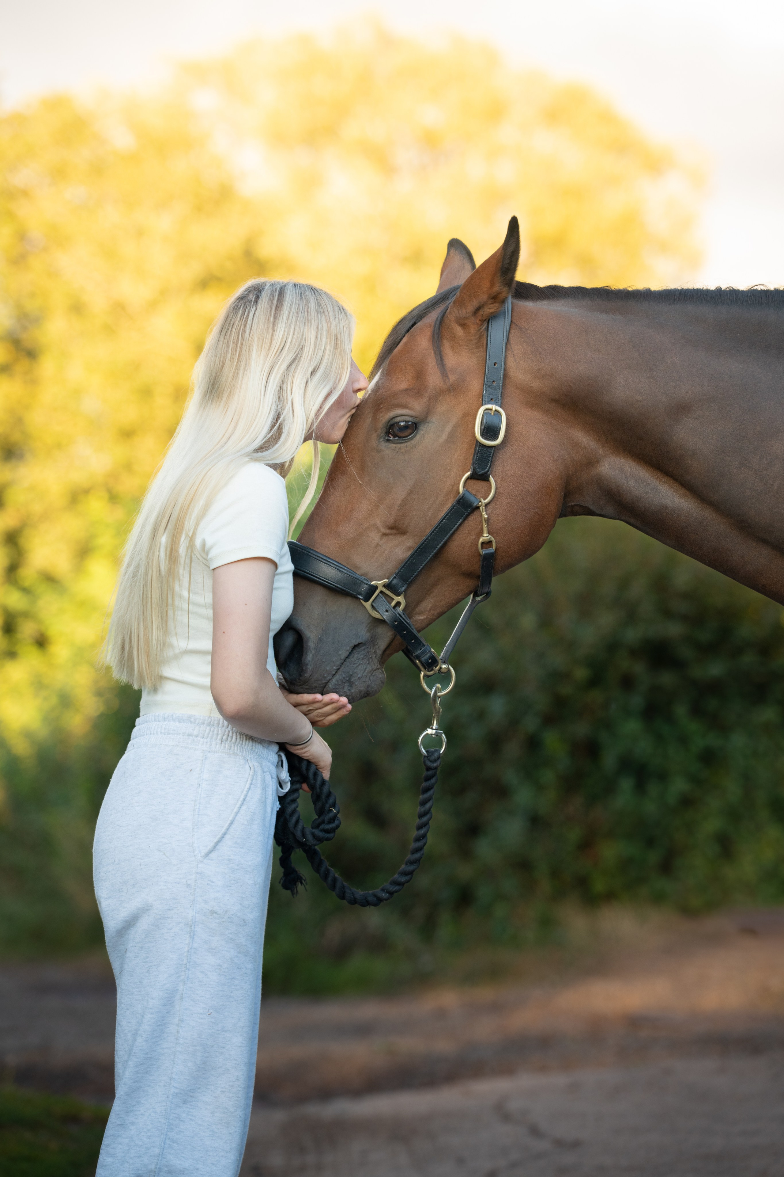 Equine Photography Portfolio | Leicestershire Horse Portrait Photographer. Leicestershire Equine Photography by El | Authentic Equine Portraits & Events