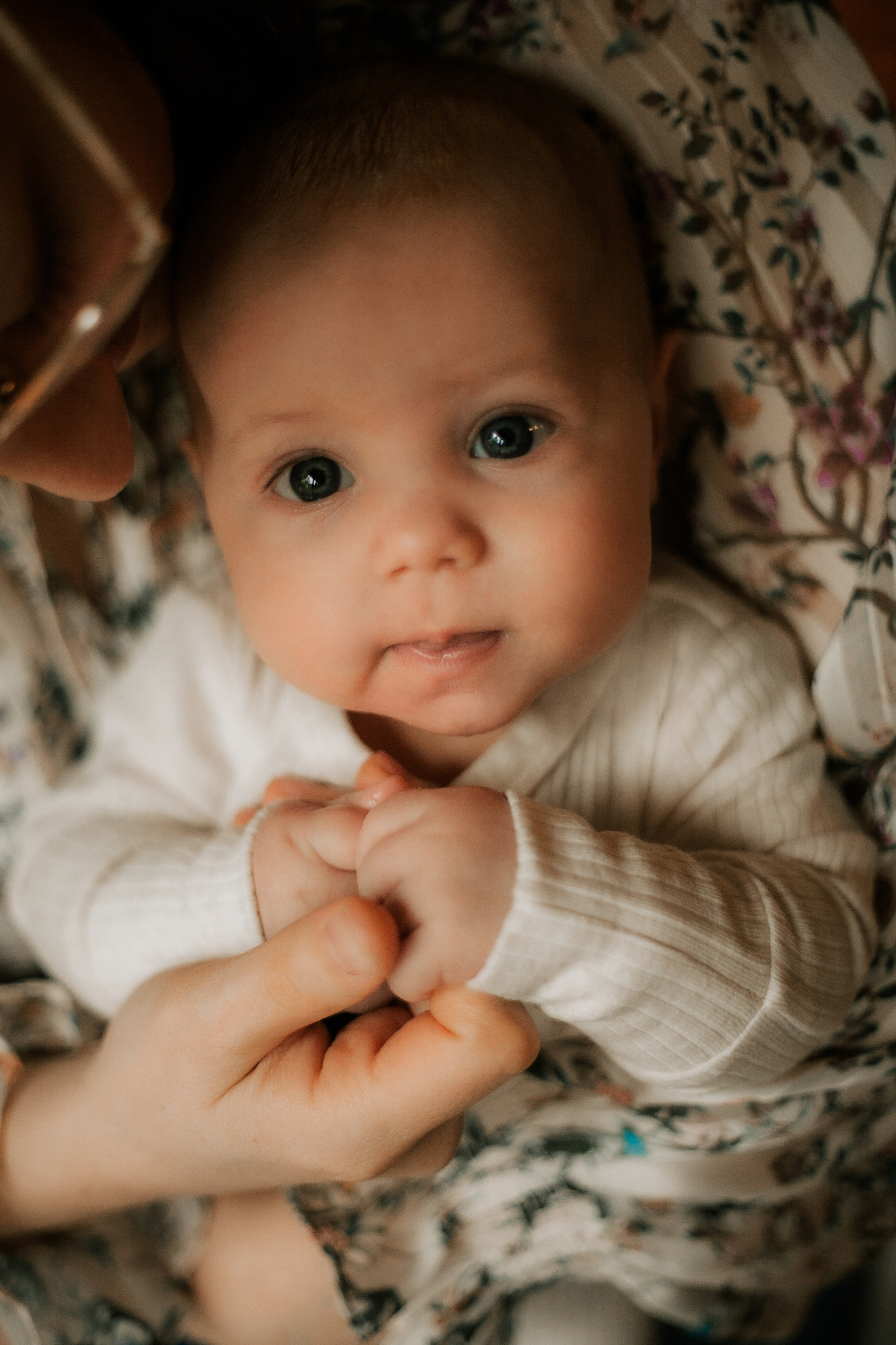 Newborn. Lara Ilin Photography