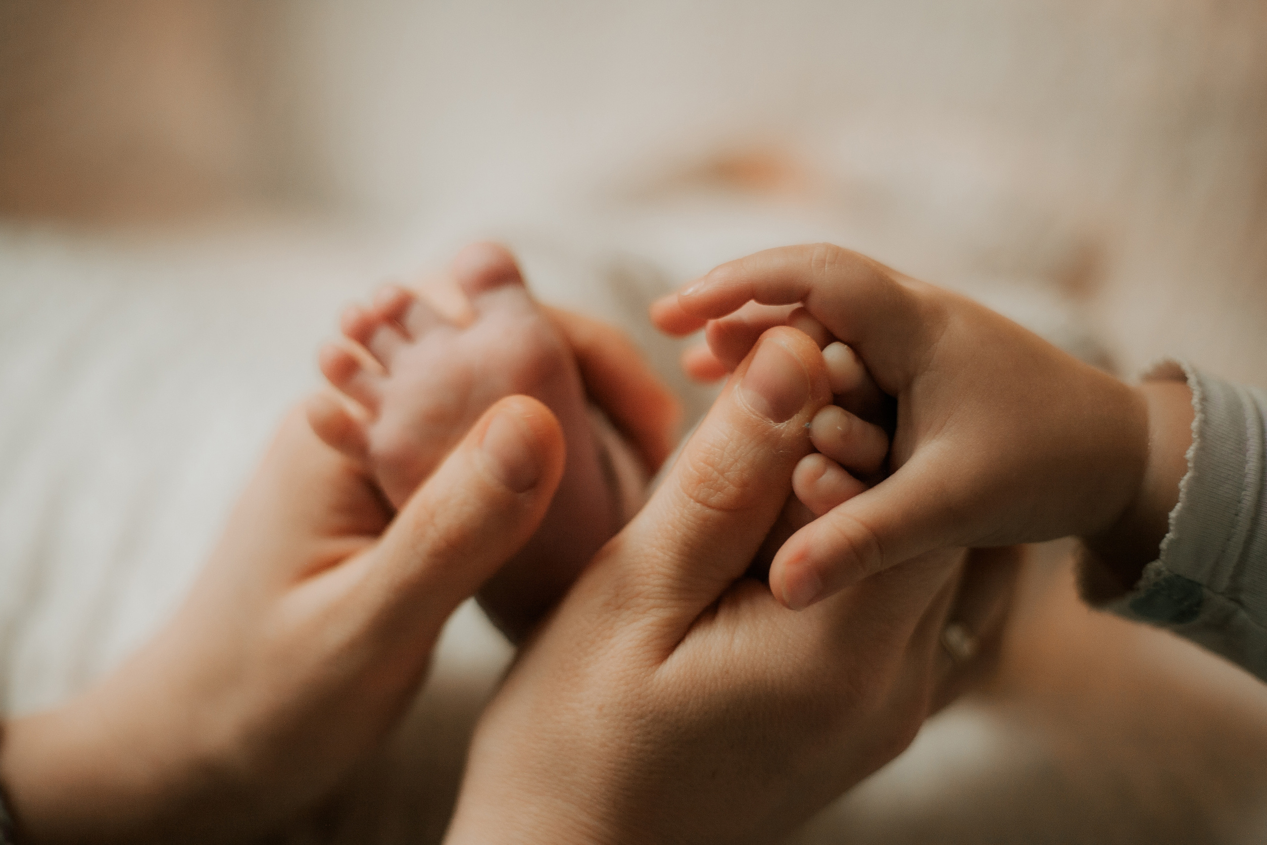 Newborn. Lara Ilin Photography