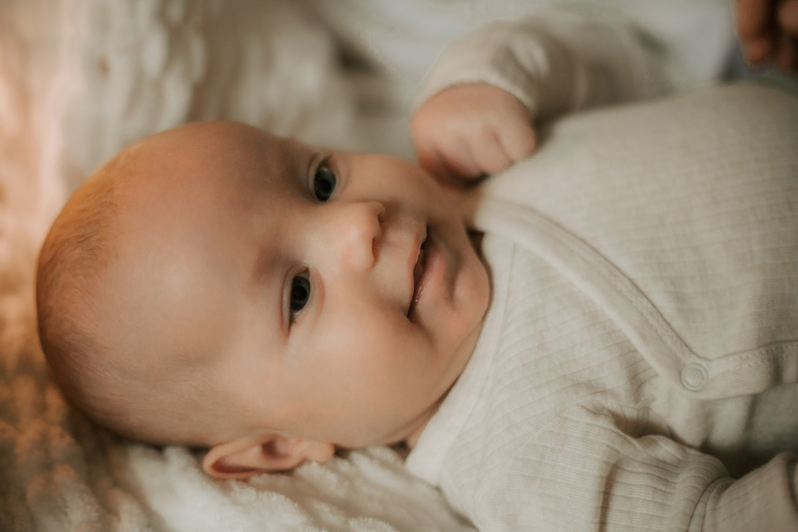 Newborn. Lara Ilin Photography