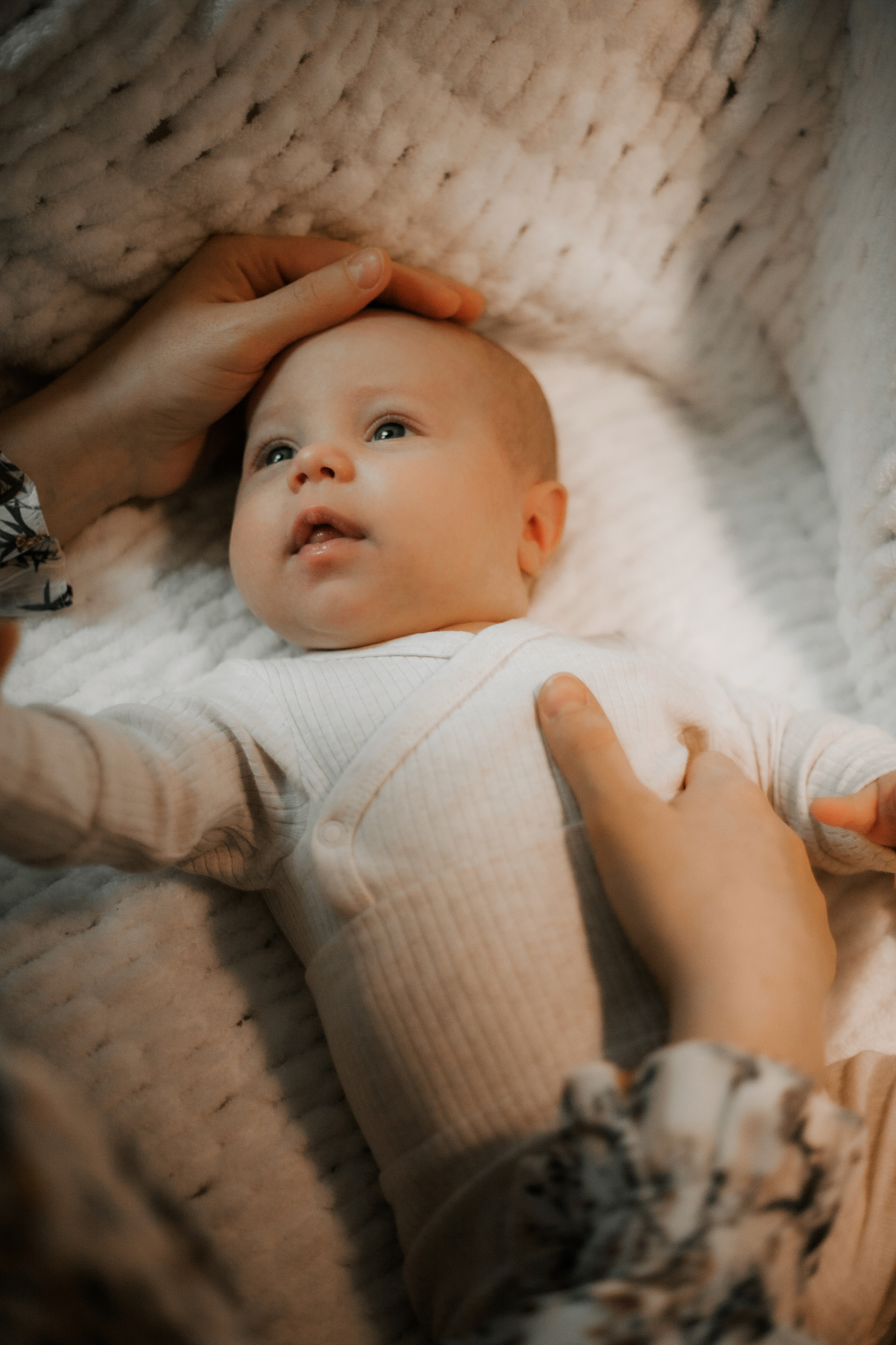 Newborn. Lara Ilin Photography