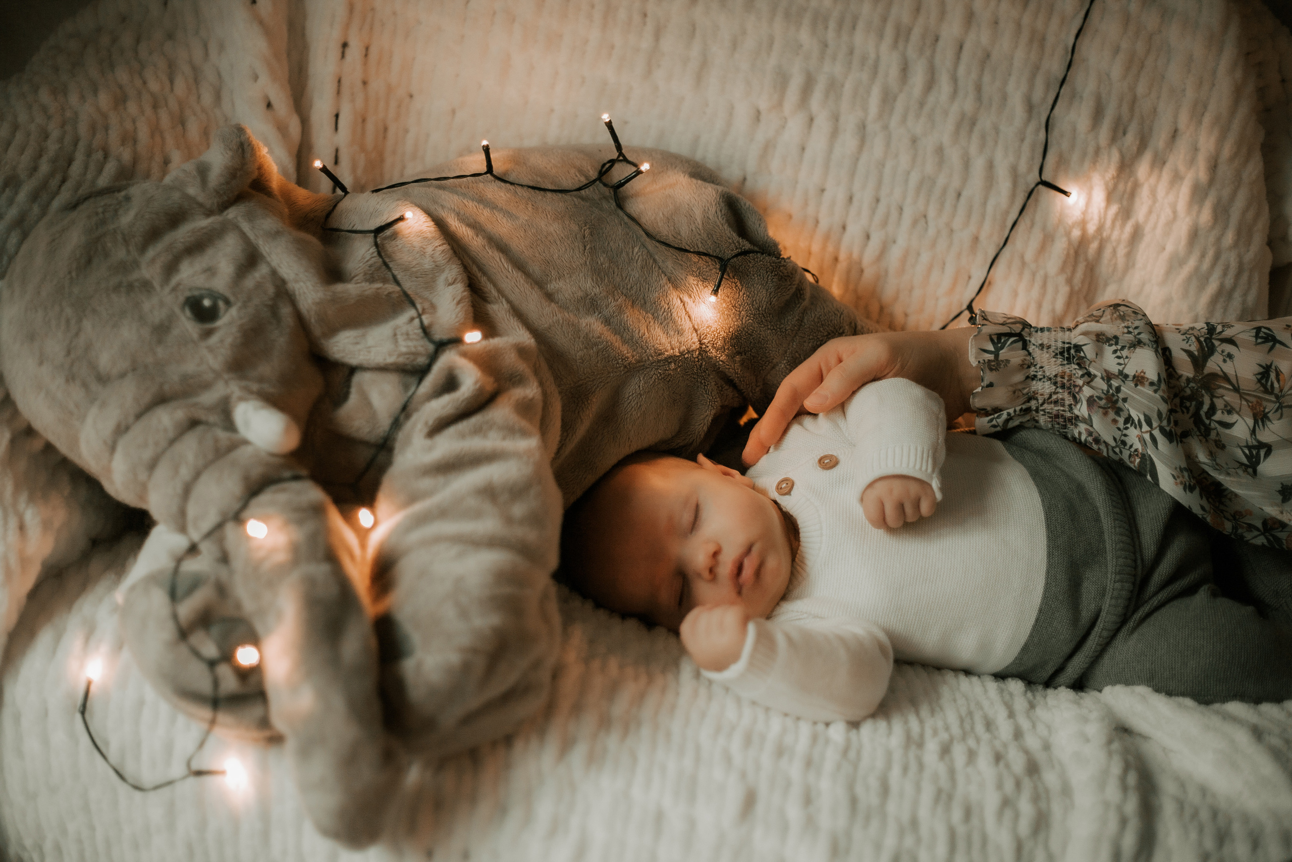 Newborn. Lara Ilin Photography