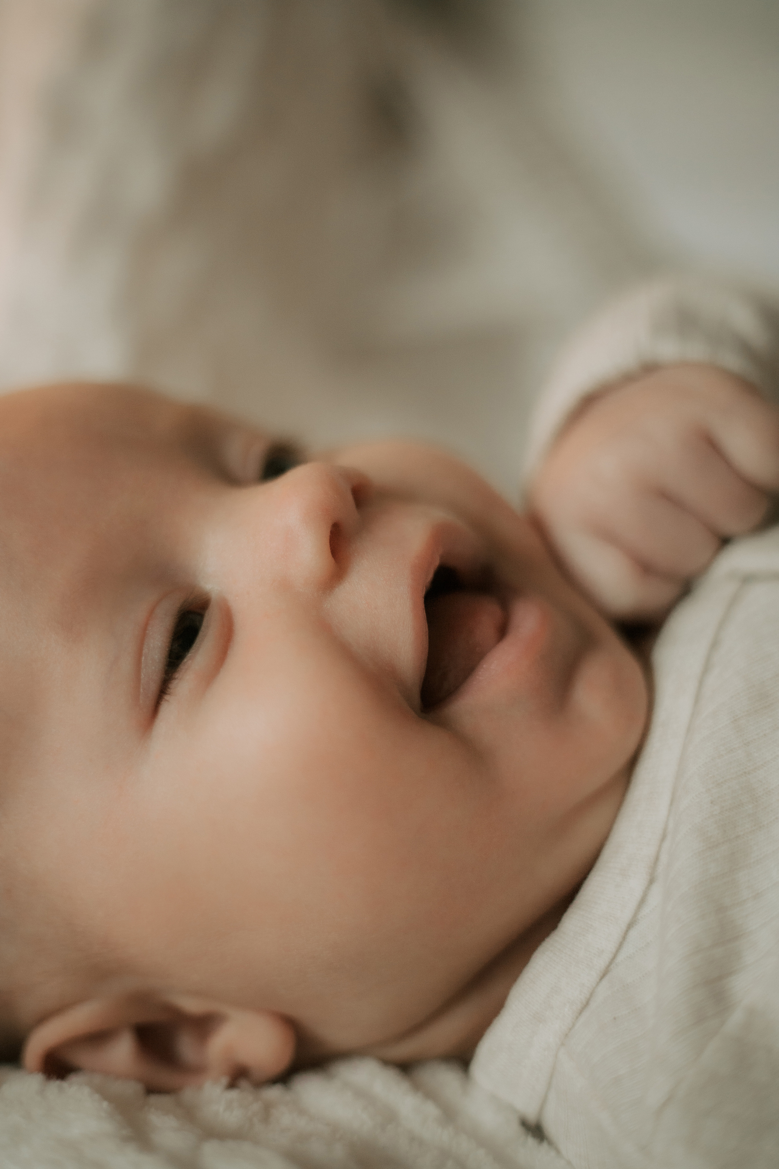 Newborn. Lara Ilin Photography