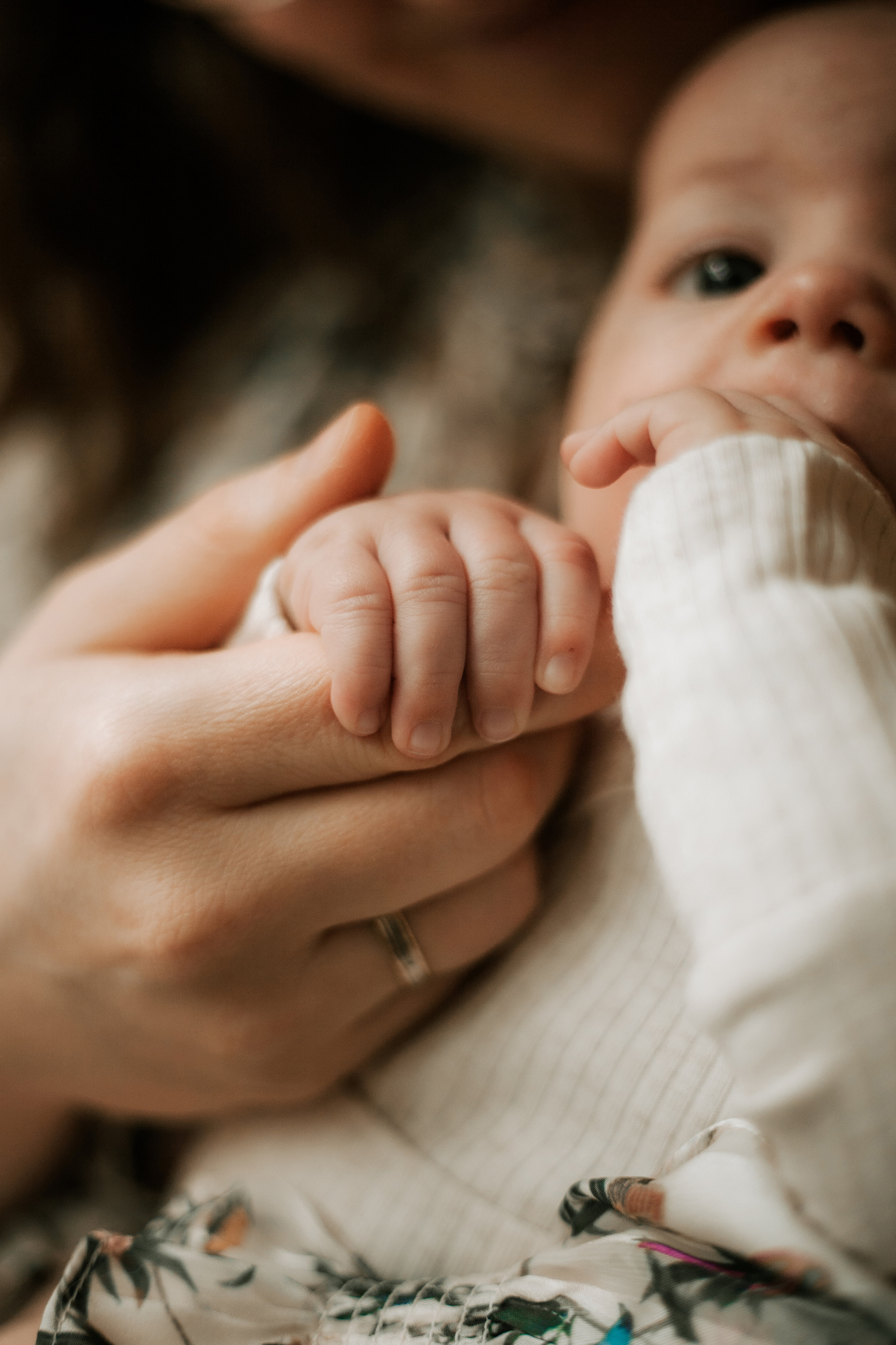 Newborn. Lara Ilin Photography