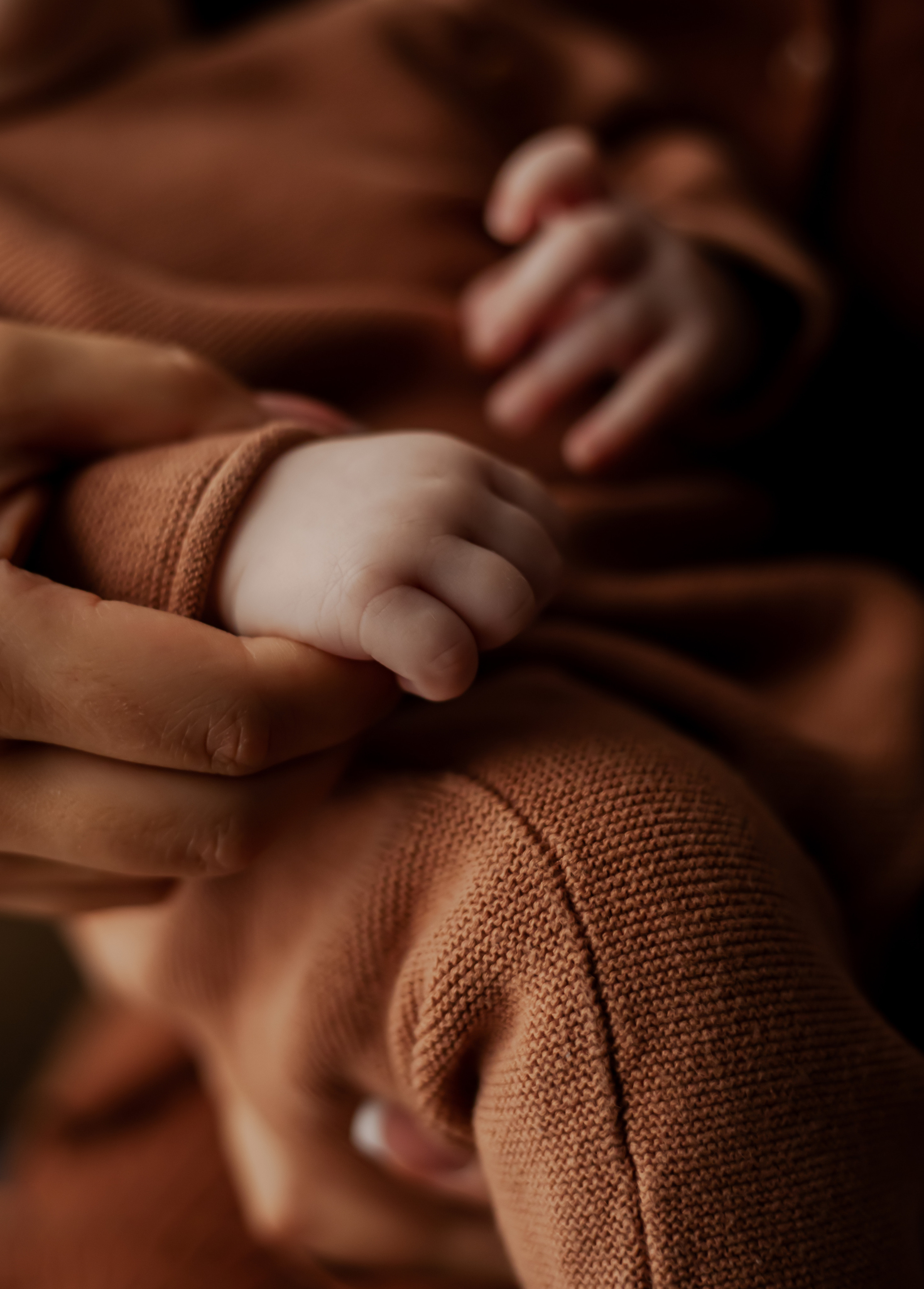 Newborn. Lara Ilin Photography