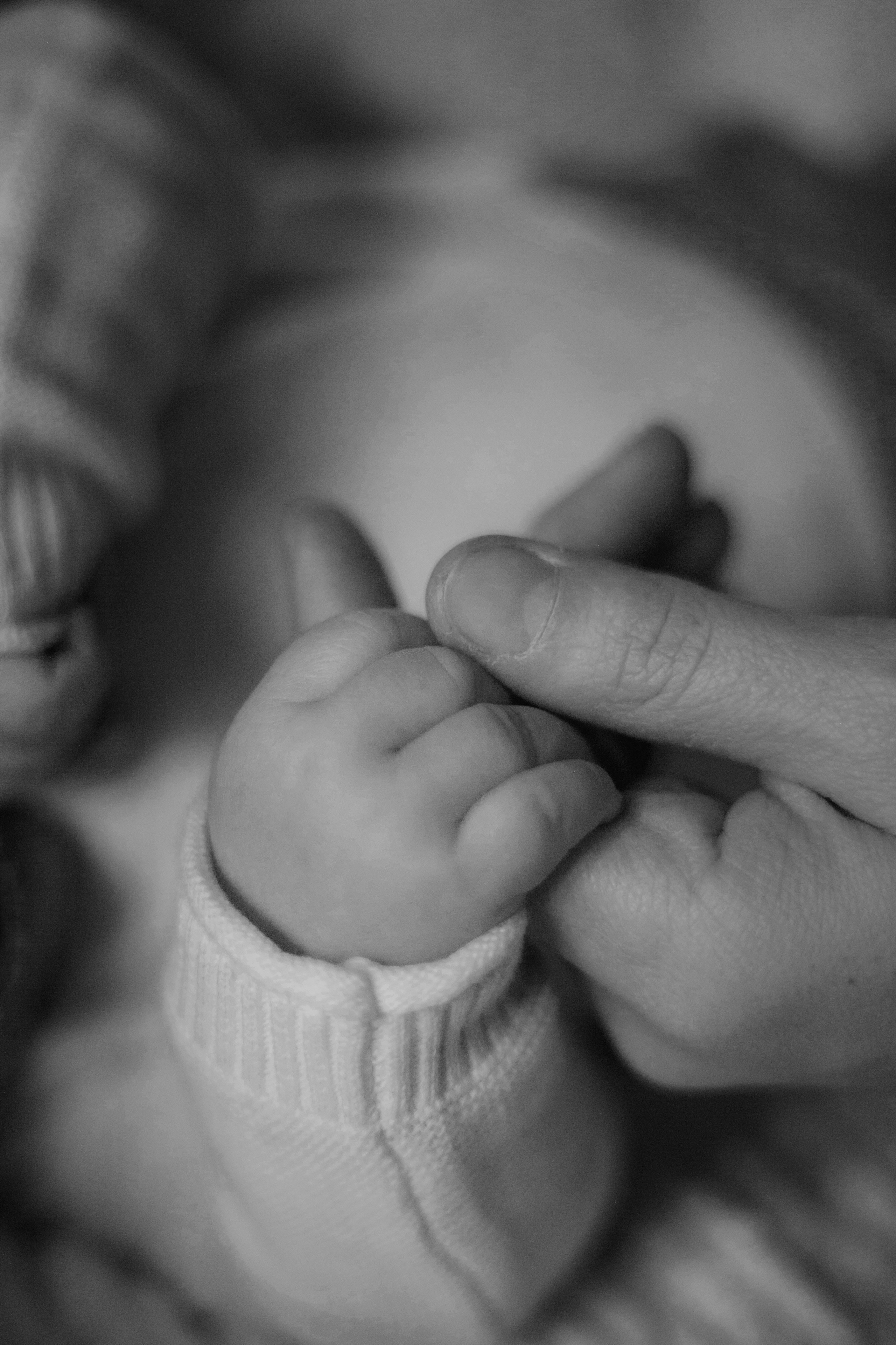 Newborn. Lara Ilin Photography