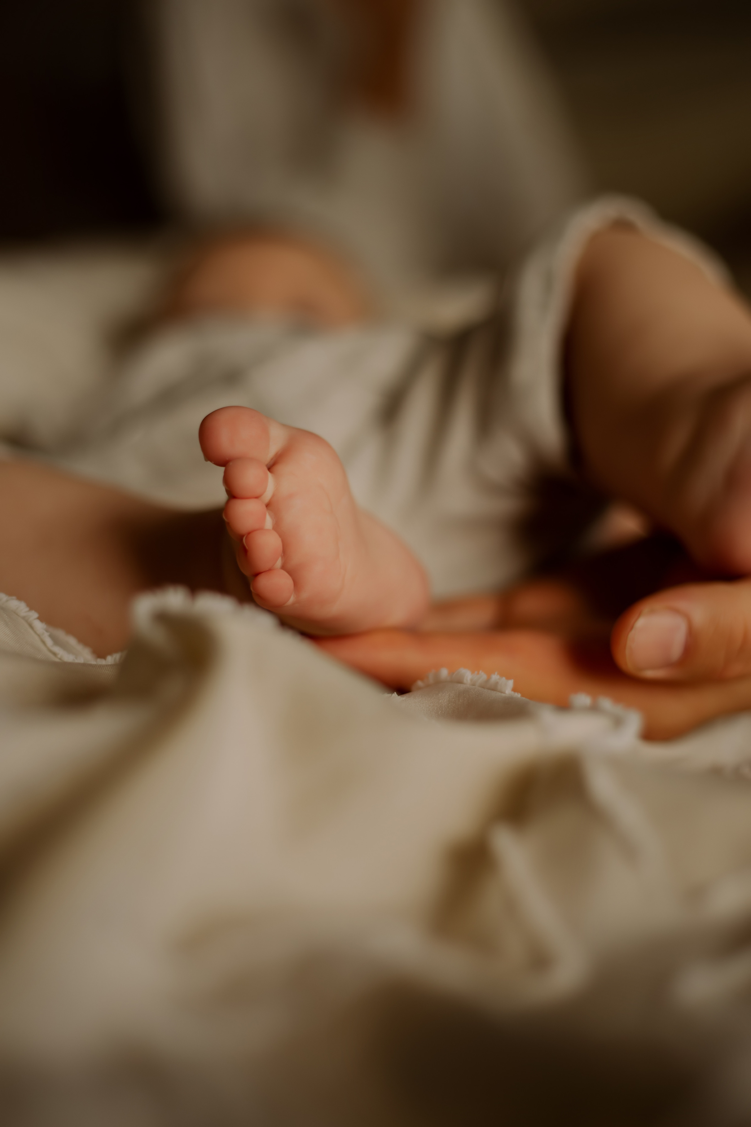 Pricing. Lara Ilin Photography