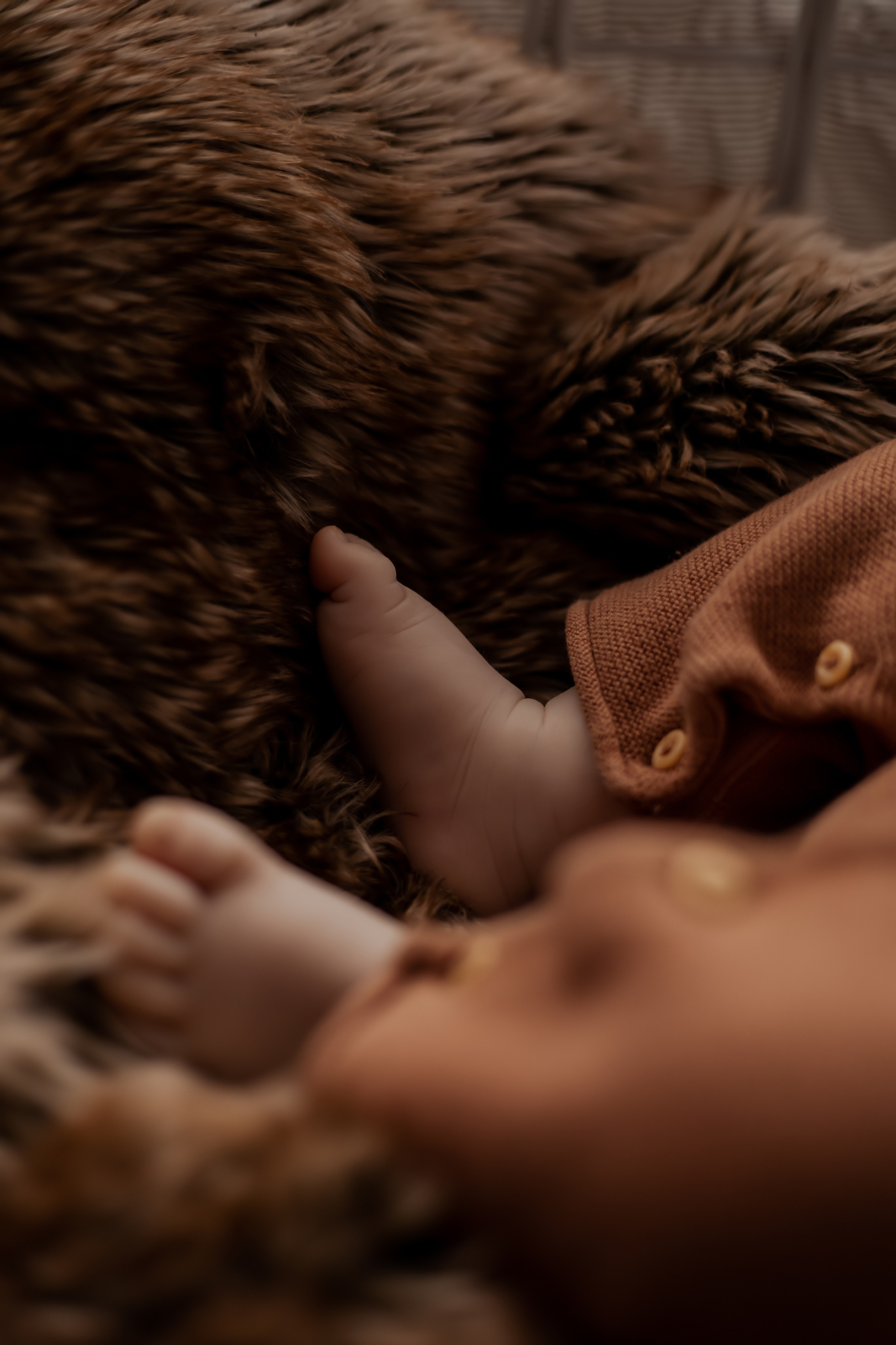 Newborn. Lara Ilin Photography