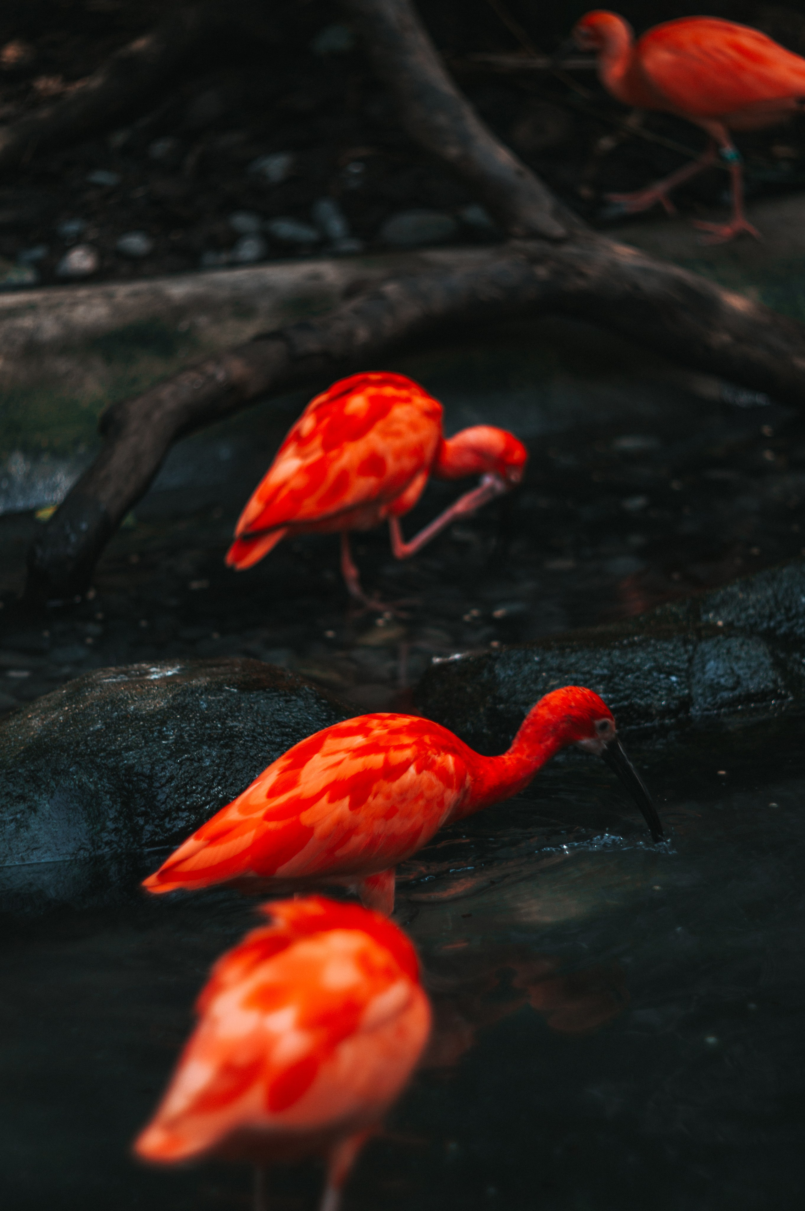 Франция. Анастасия Благова — Твой фотограф в Малаге 🇪🇸