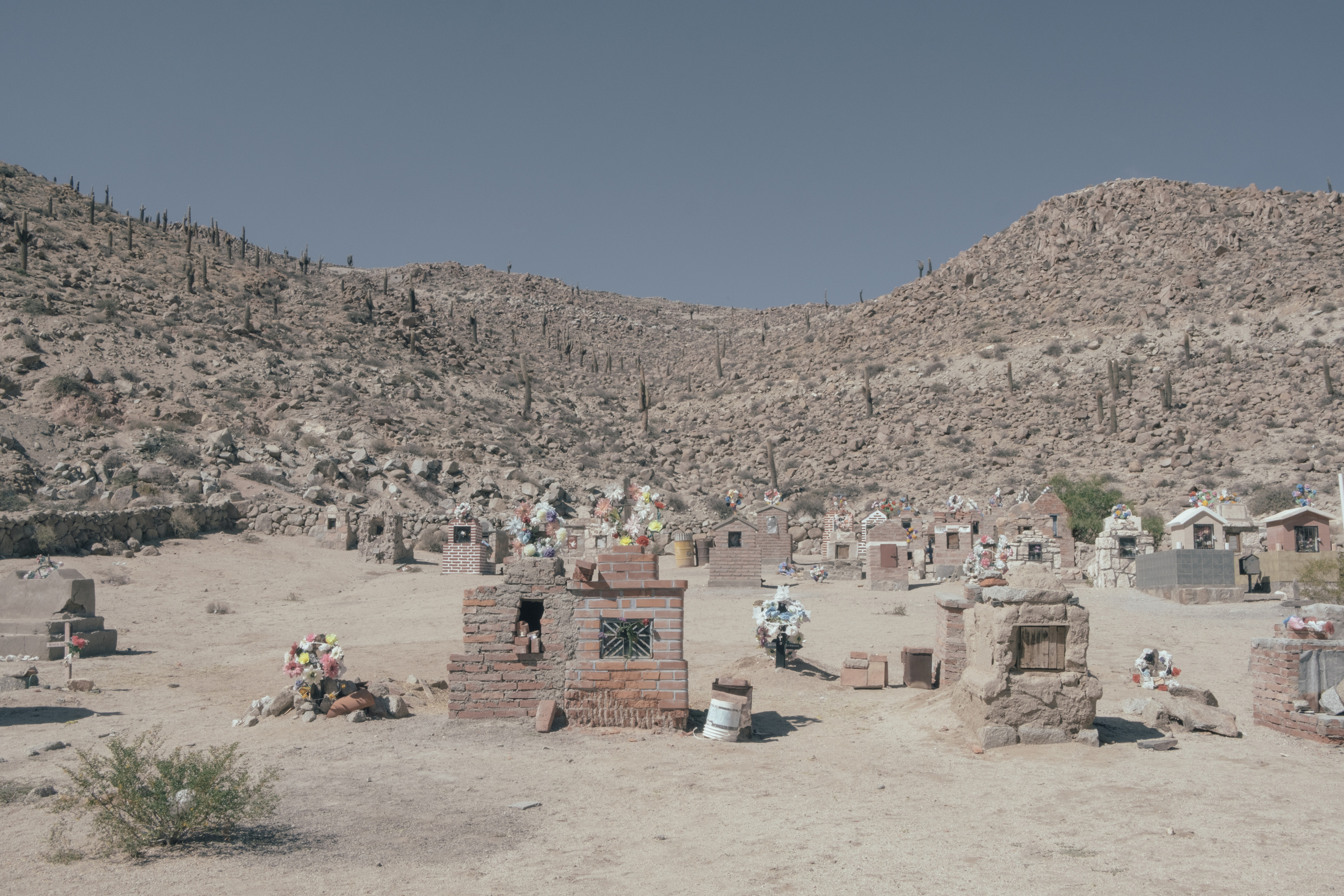 Современная фотография. Photographer Anastasiya Dubrovina