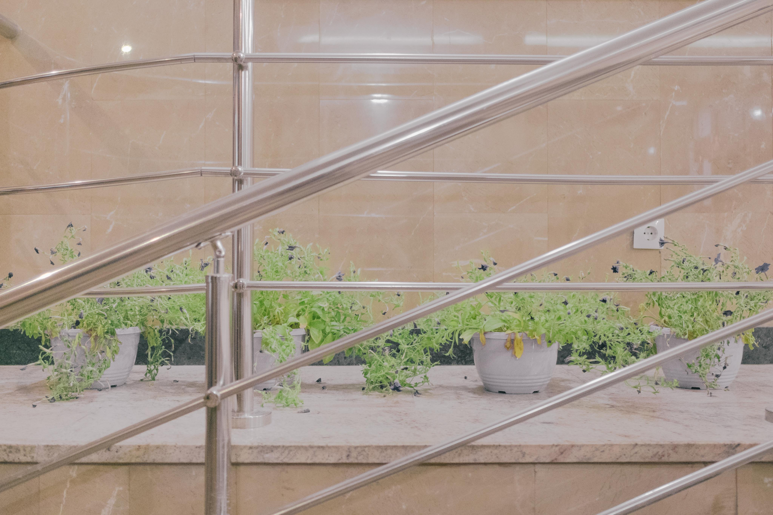 Friend for an hour. Photographer Anastasiya Dubrovina