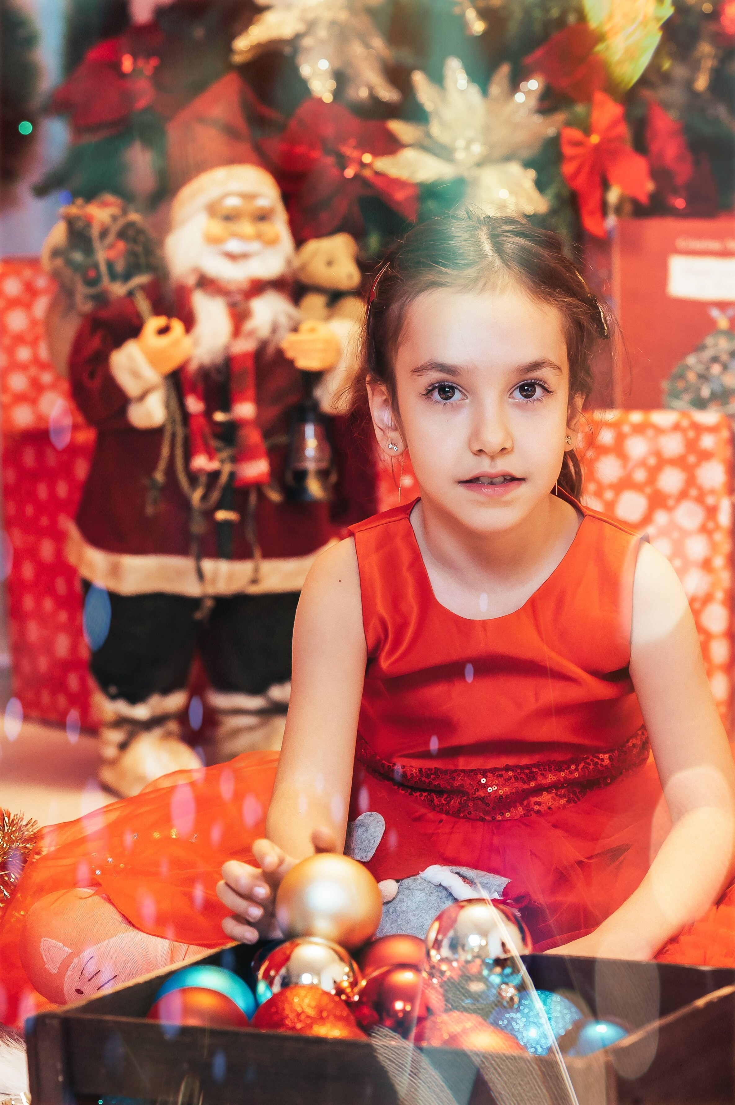 Sedinta Craciun Sofia