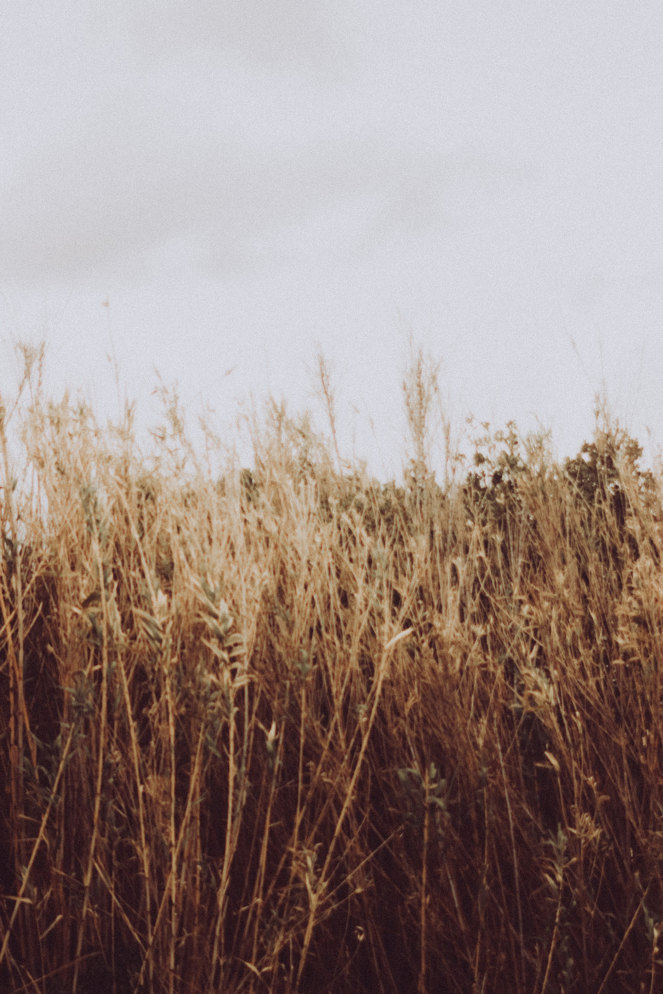 People. Photographe à la Seyne sur Mer, Var
