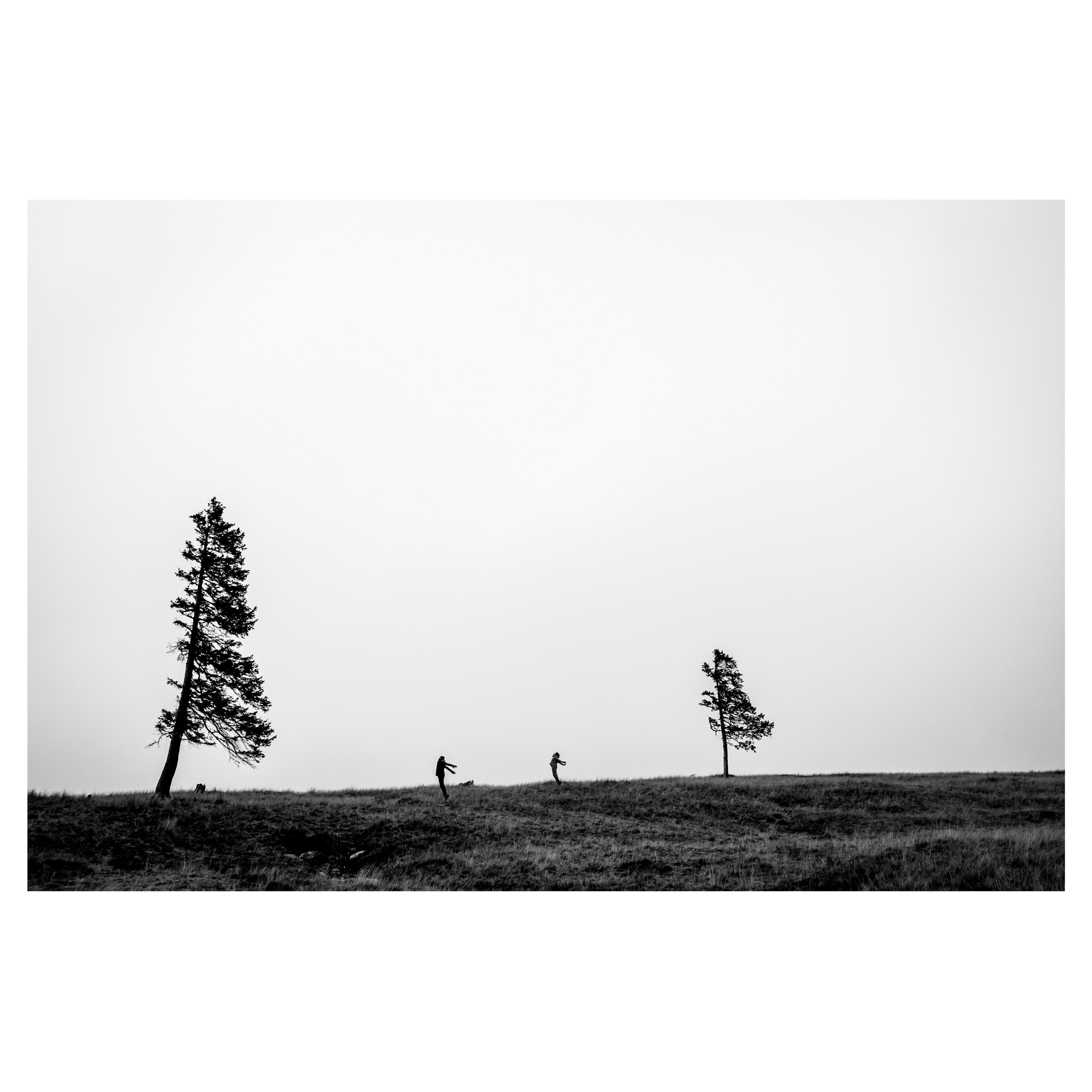 Workshop. Ionut Birceanu