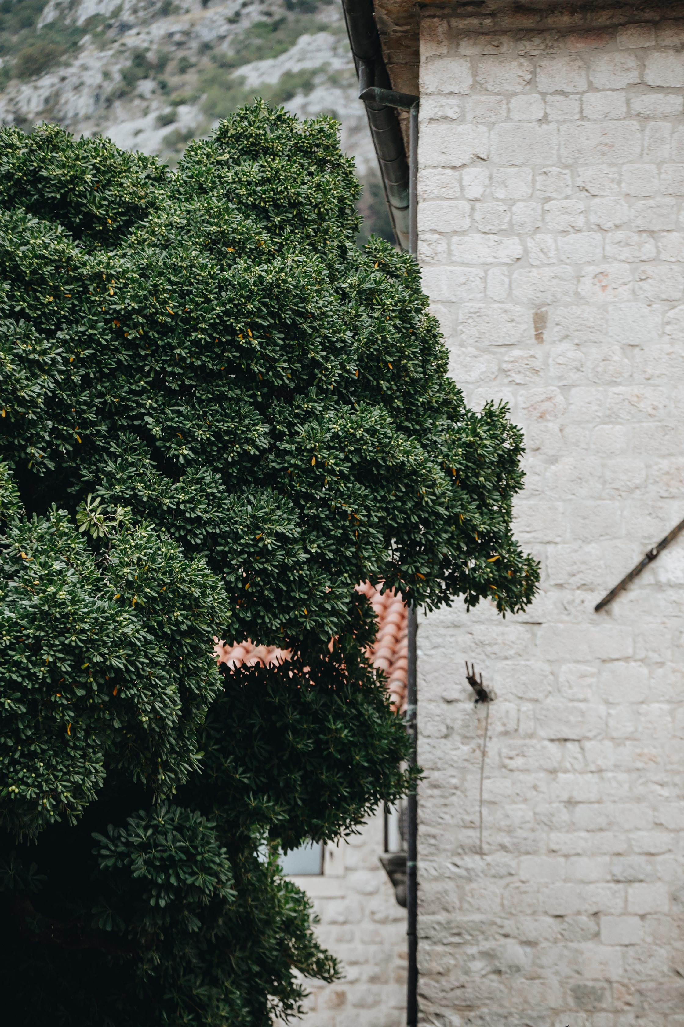 Nikolai & Anastasia — Montenegro Wedding 2021. Iurkovski PHOTOGRAPHY in Europe. Luxury destination weddings and events