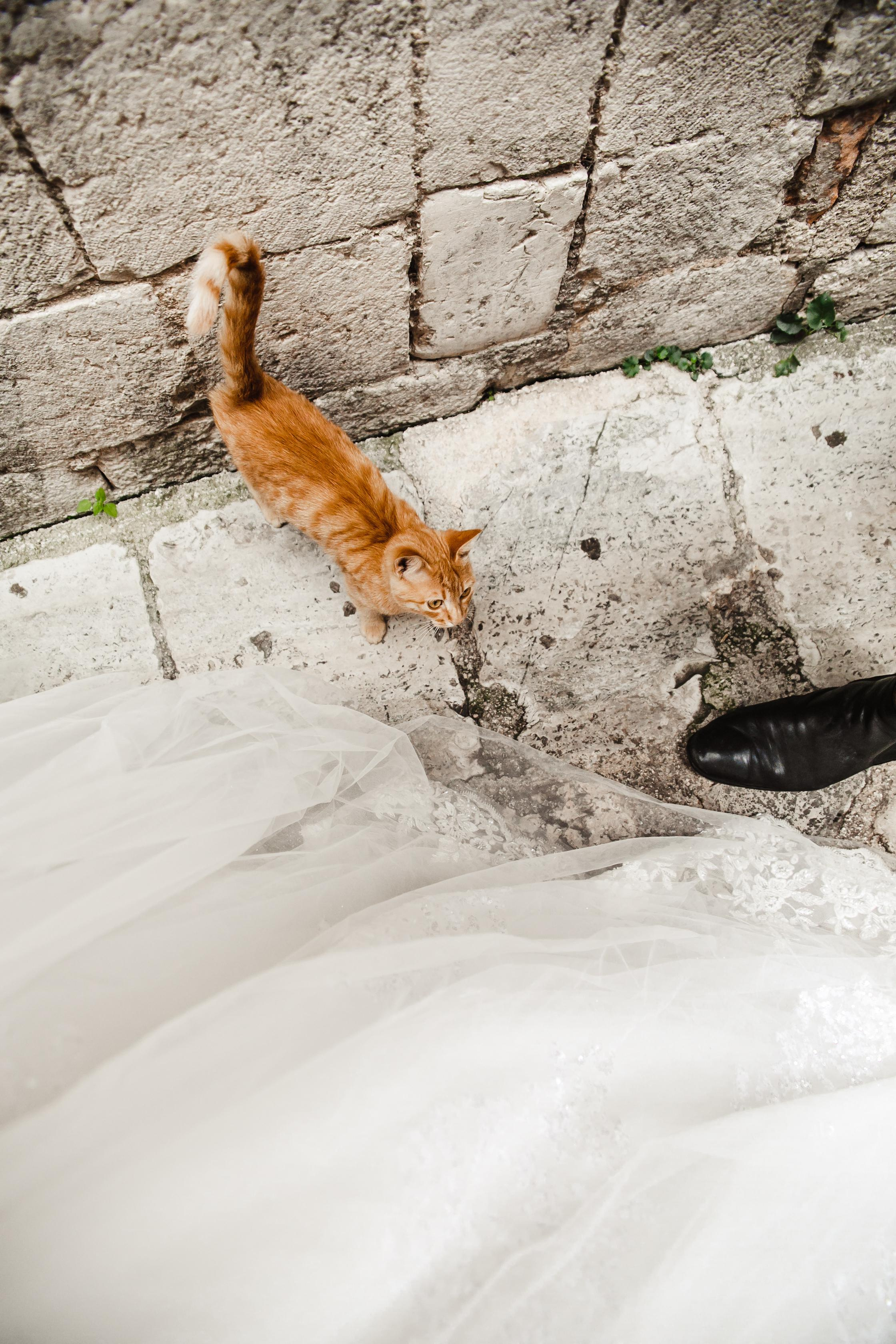 Nikolai & Anastasia — Montenegro Wedding 2021. Iurkovski PHOTOGRAPHY in Europe. Luxury destination weddings and events