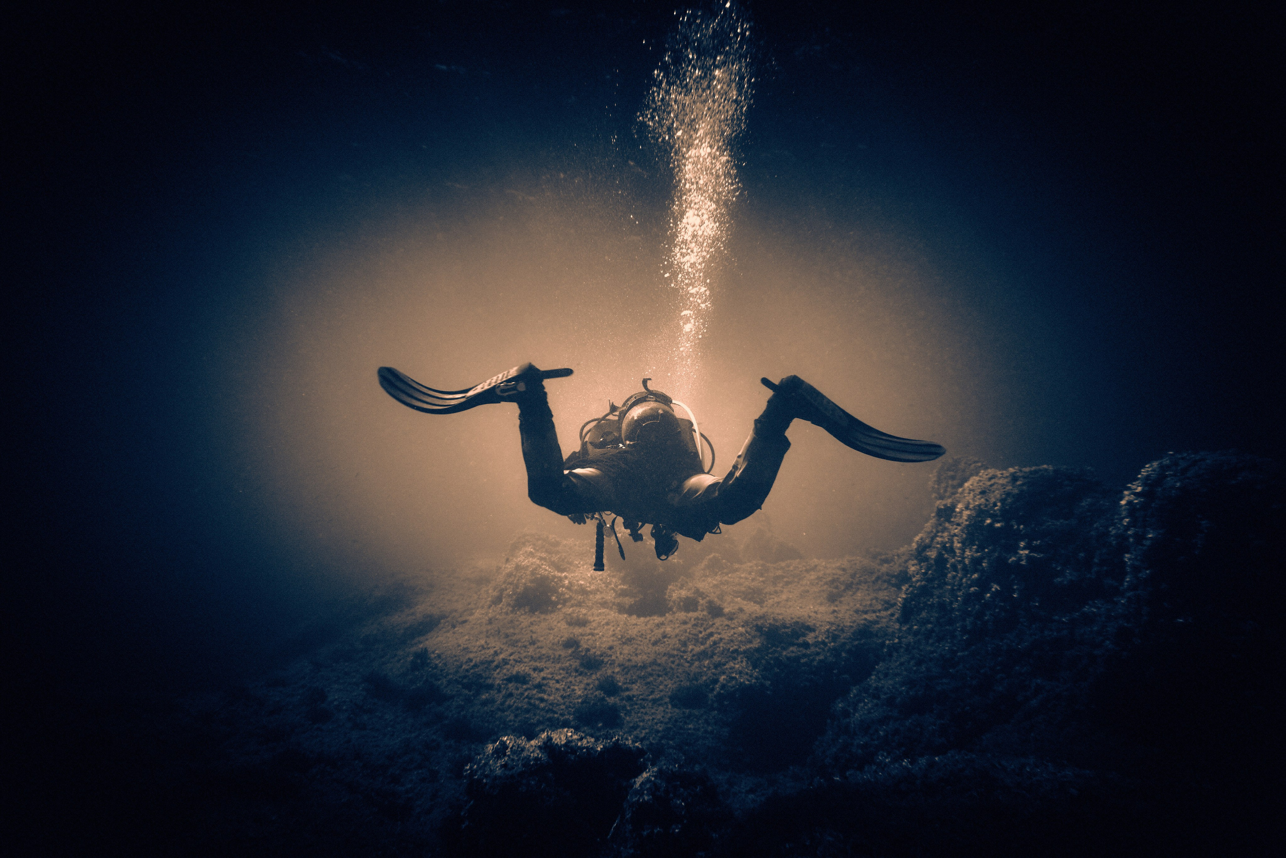 Fotograf podwodny Andriej Szypiłow. Andriej Szypilow - Fotografia & Wideografia