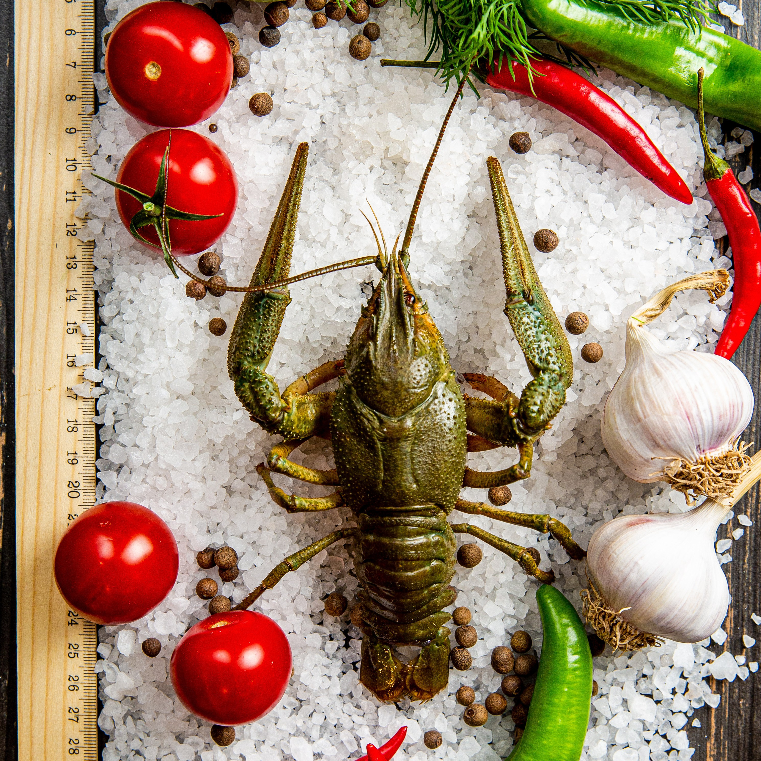 Produkt. Fotograf in Deutschland - Michael Baron