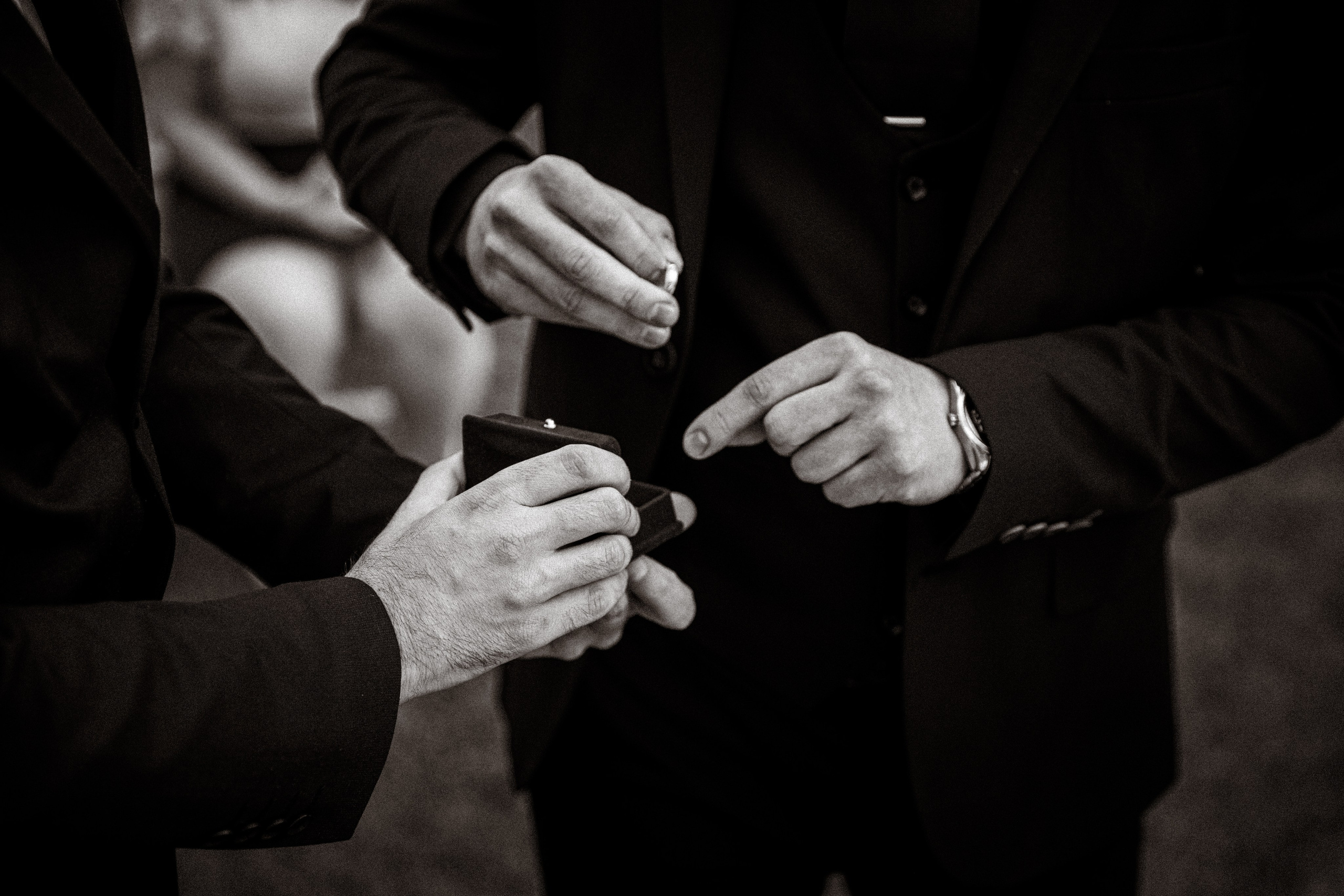 Lara & Vuk. Marko Tucić Photography | Fotograf Zrenjanin