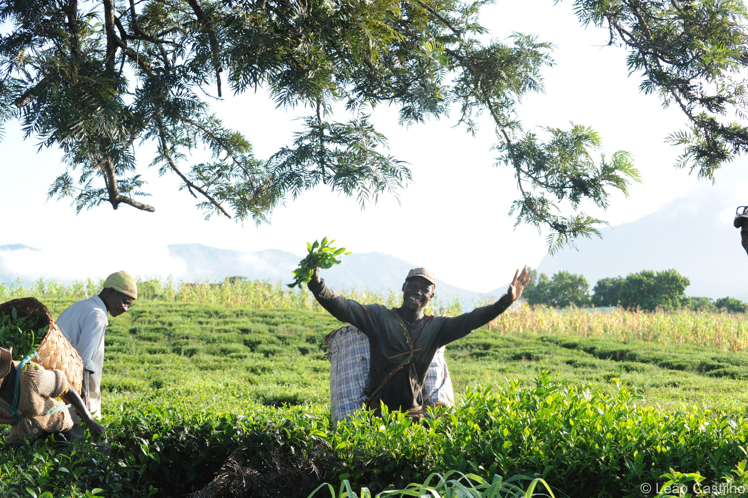 Photos from Mozambique people 1. Simbahalu
