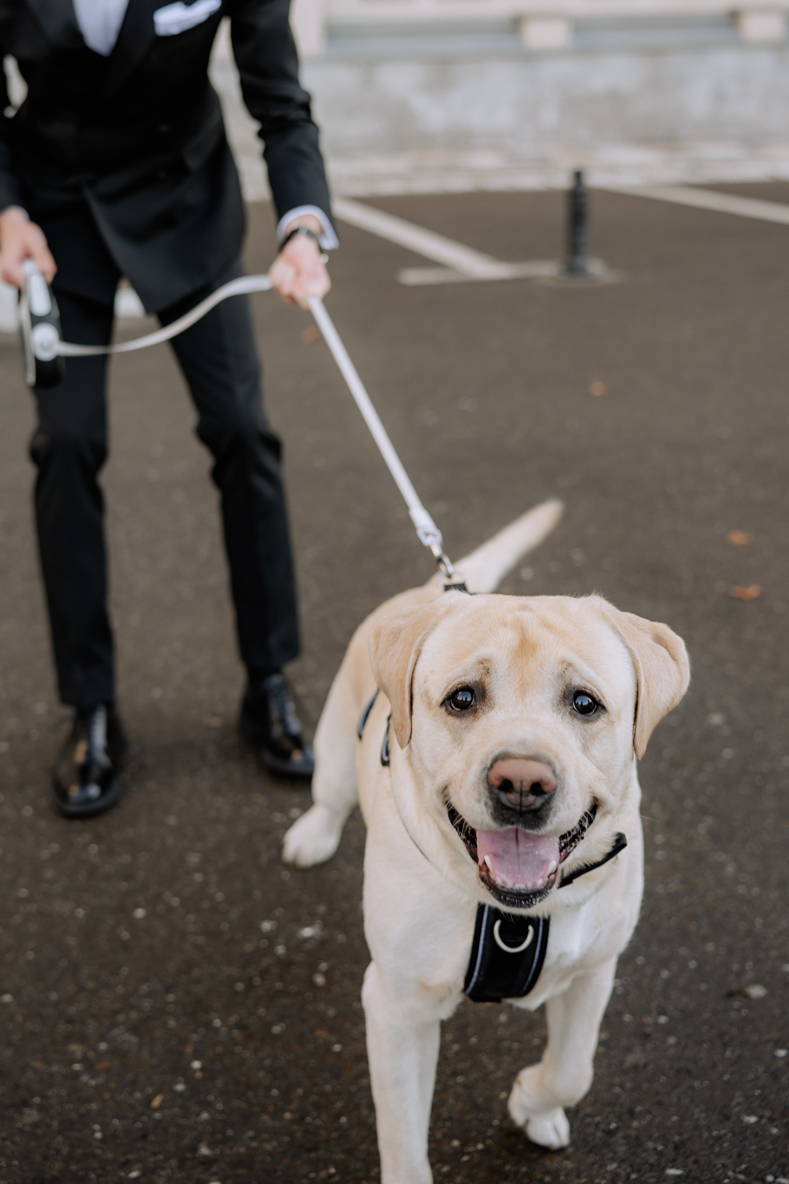 Andreea + Silviu | Wedding day. Proud Vision Weddings | Wedding Photography & Film — Servicii profesionale Foto Video Nunta Iasi