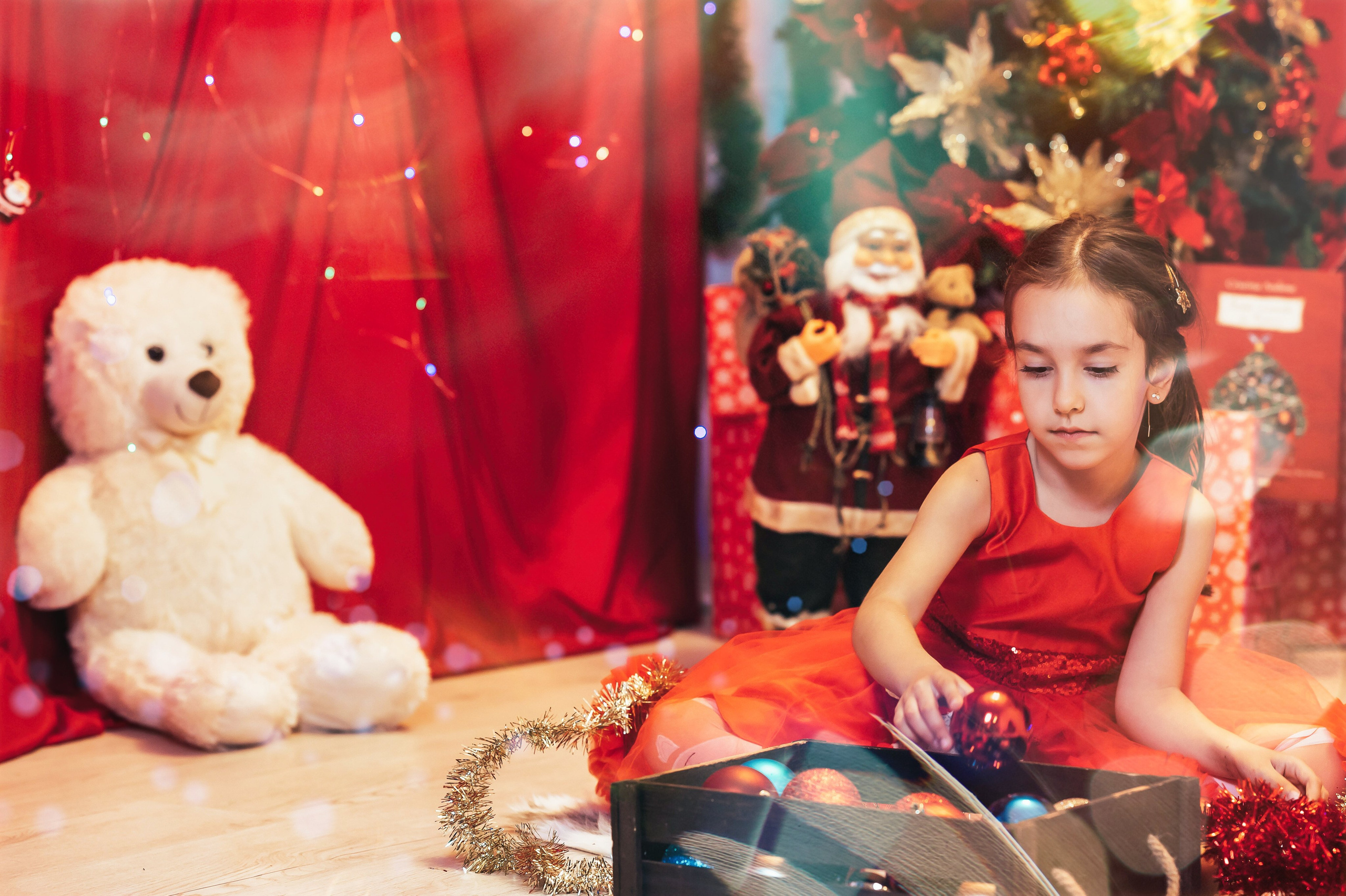 Sedinta Craciun Sofia