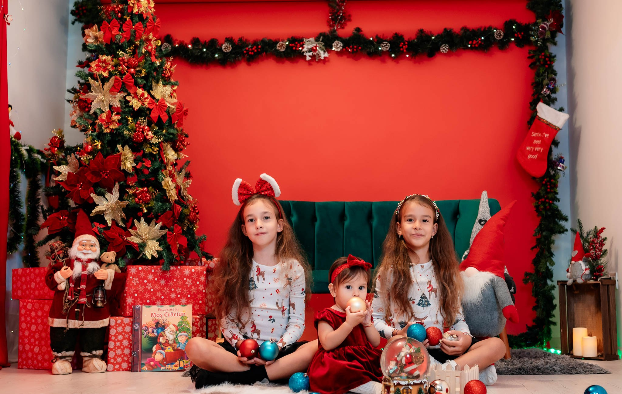 Sedinta Craciun Alina