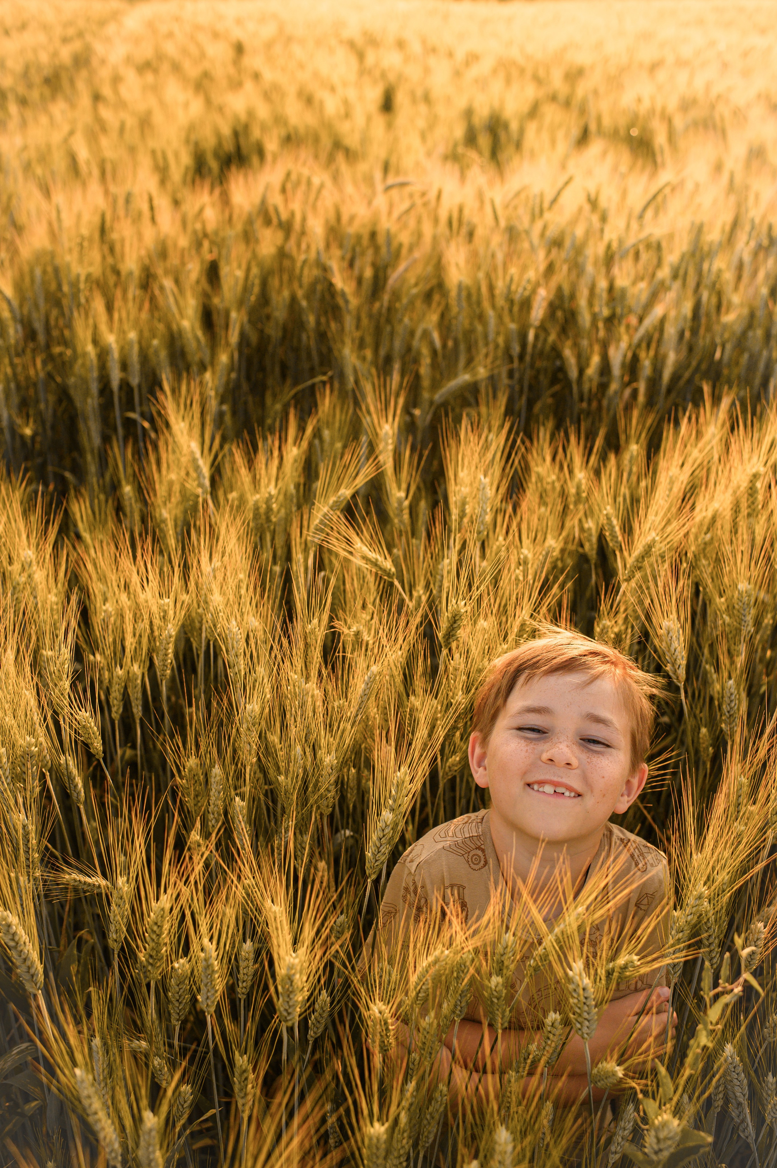 Wheat fields. Family, children, portrait, and event photography in Thessaloniki