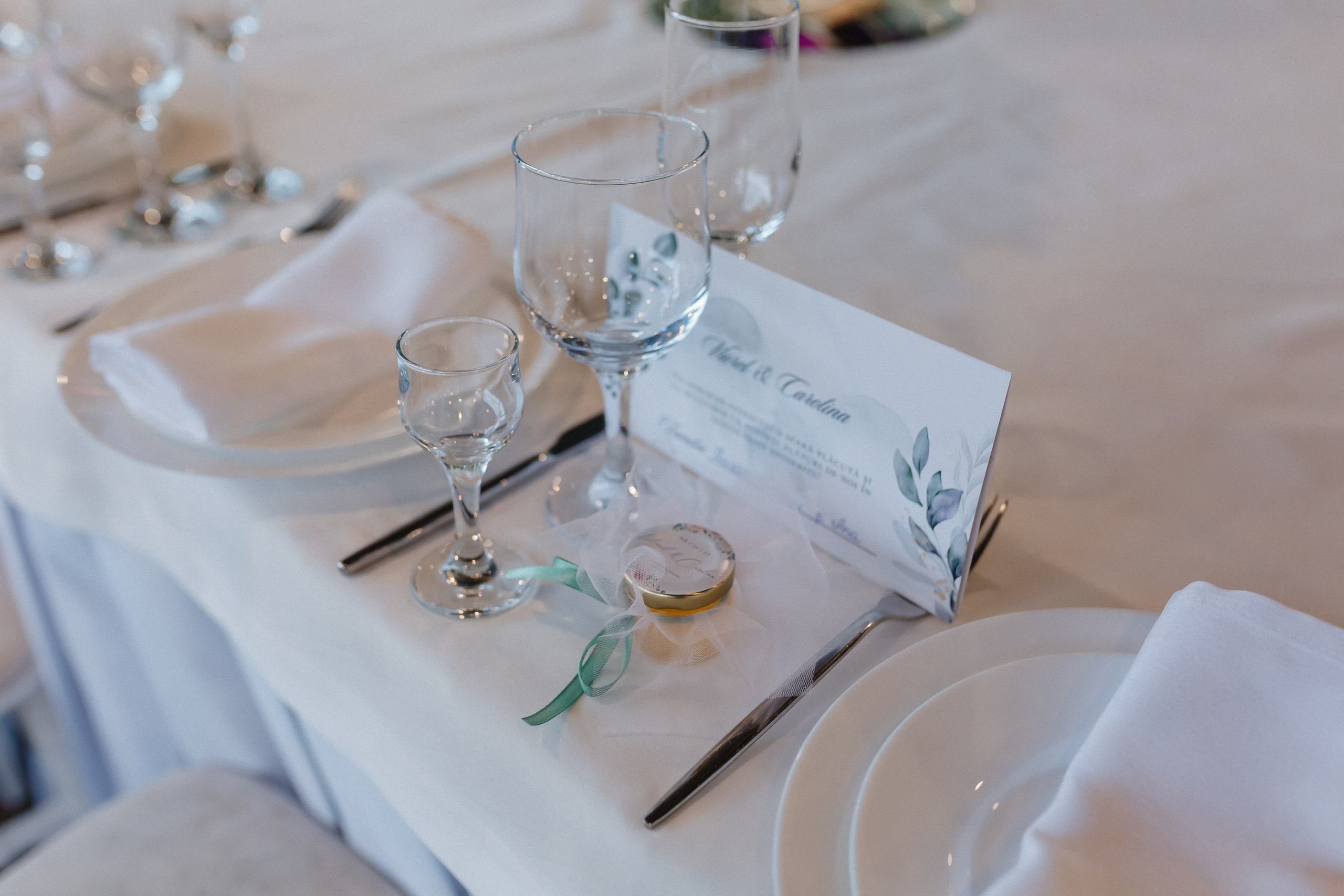 Viorel & Carolina. Standart Studio — Услуги фото видео на свадьбу Молдова Кишинев