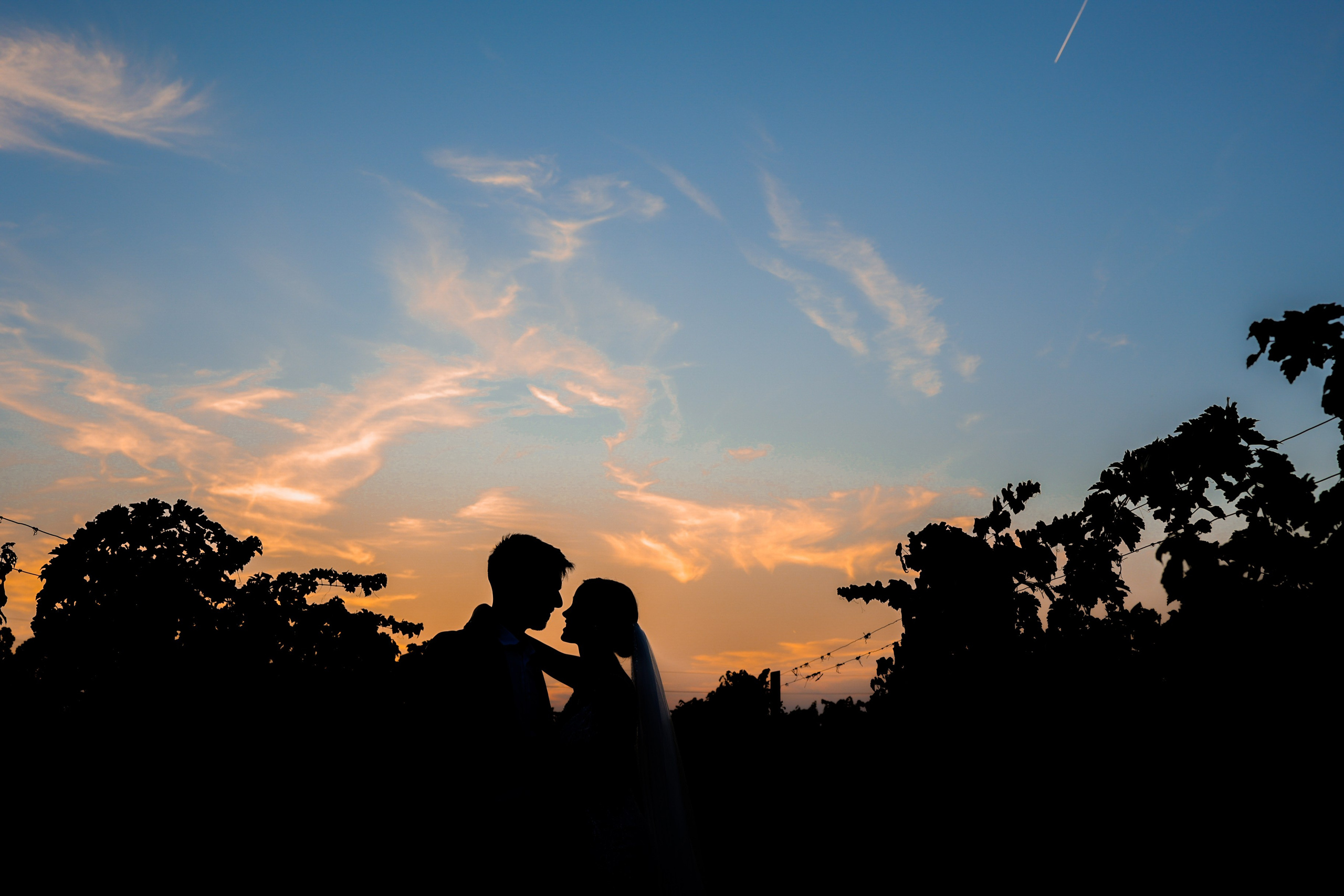 Milana & Ugljesa. Vlada toskic wedding and event photographer