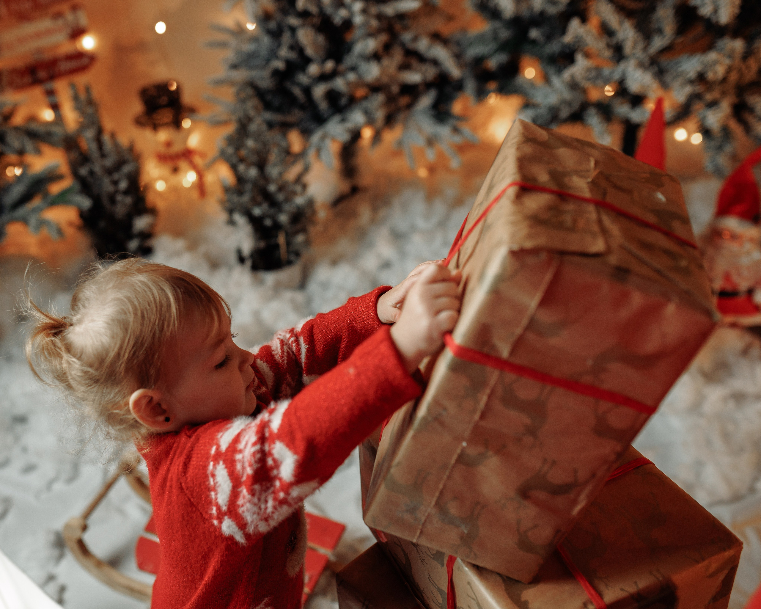 Christmas Time. Https://valphoto.wfolio.pro/