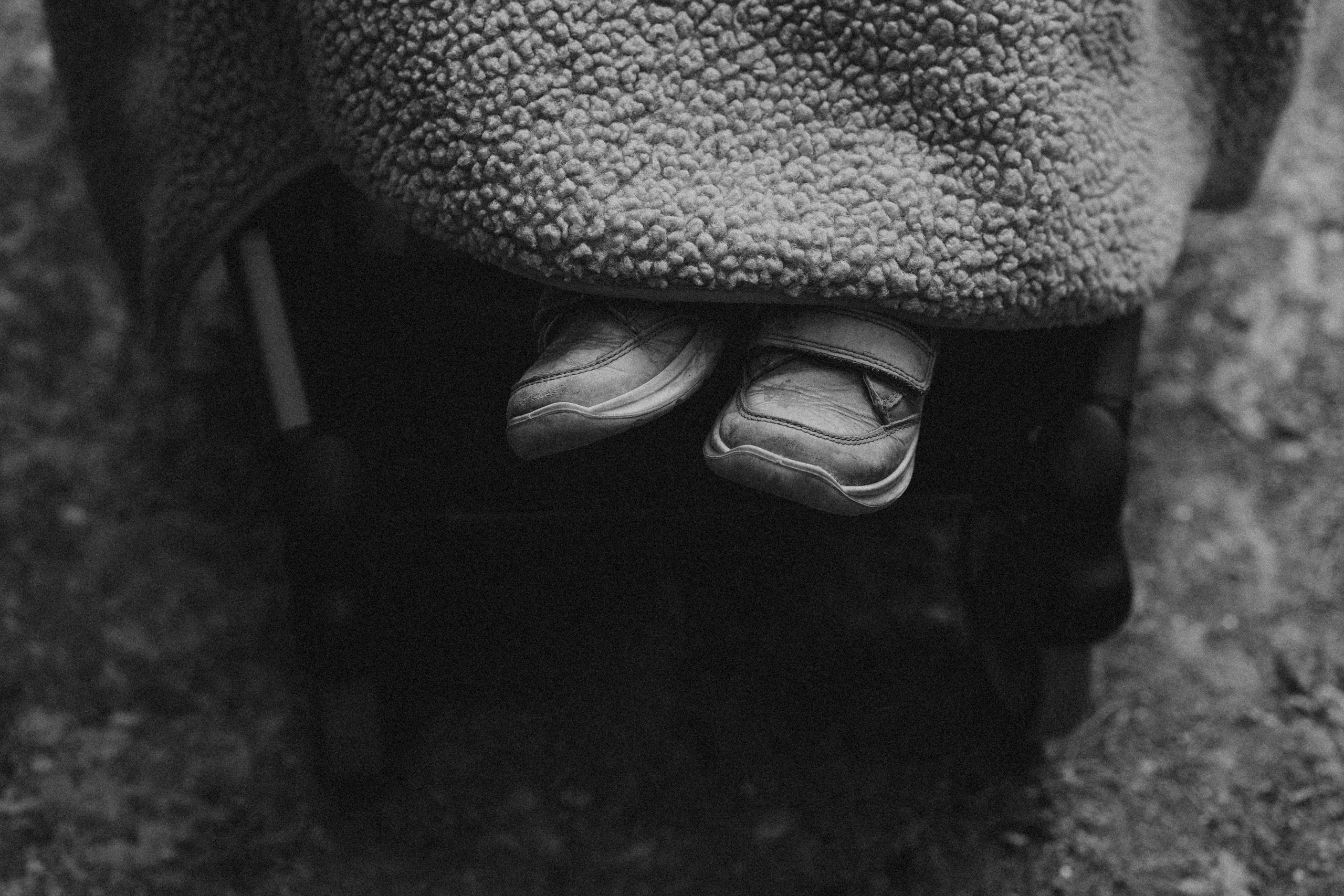 Three generations & one tail. Фотографы Минск и мир