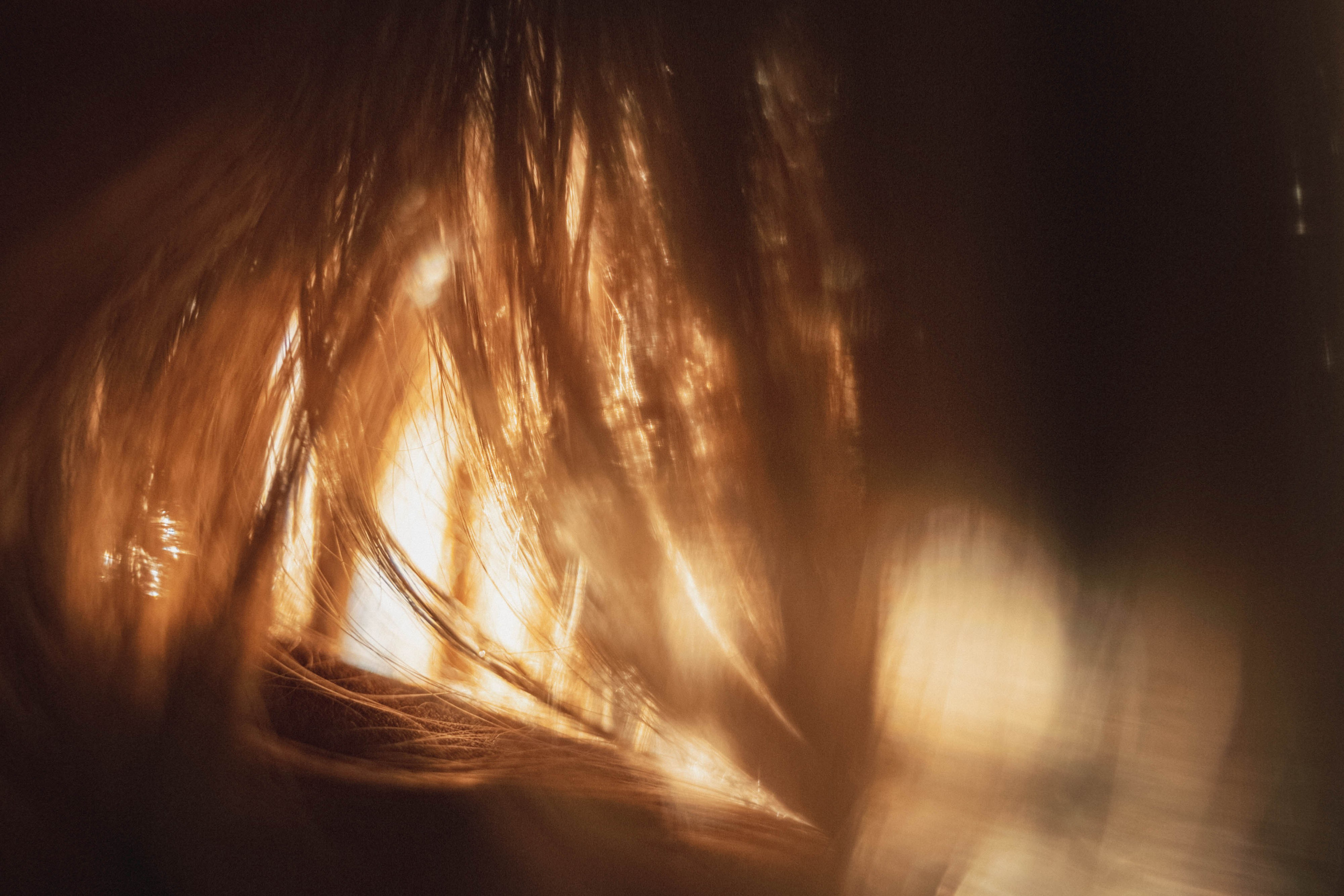 Sunset. Zhukov studio