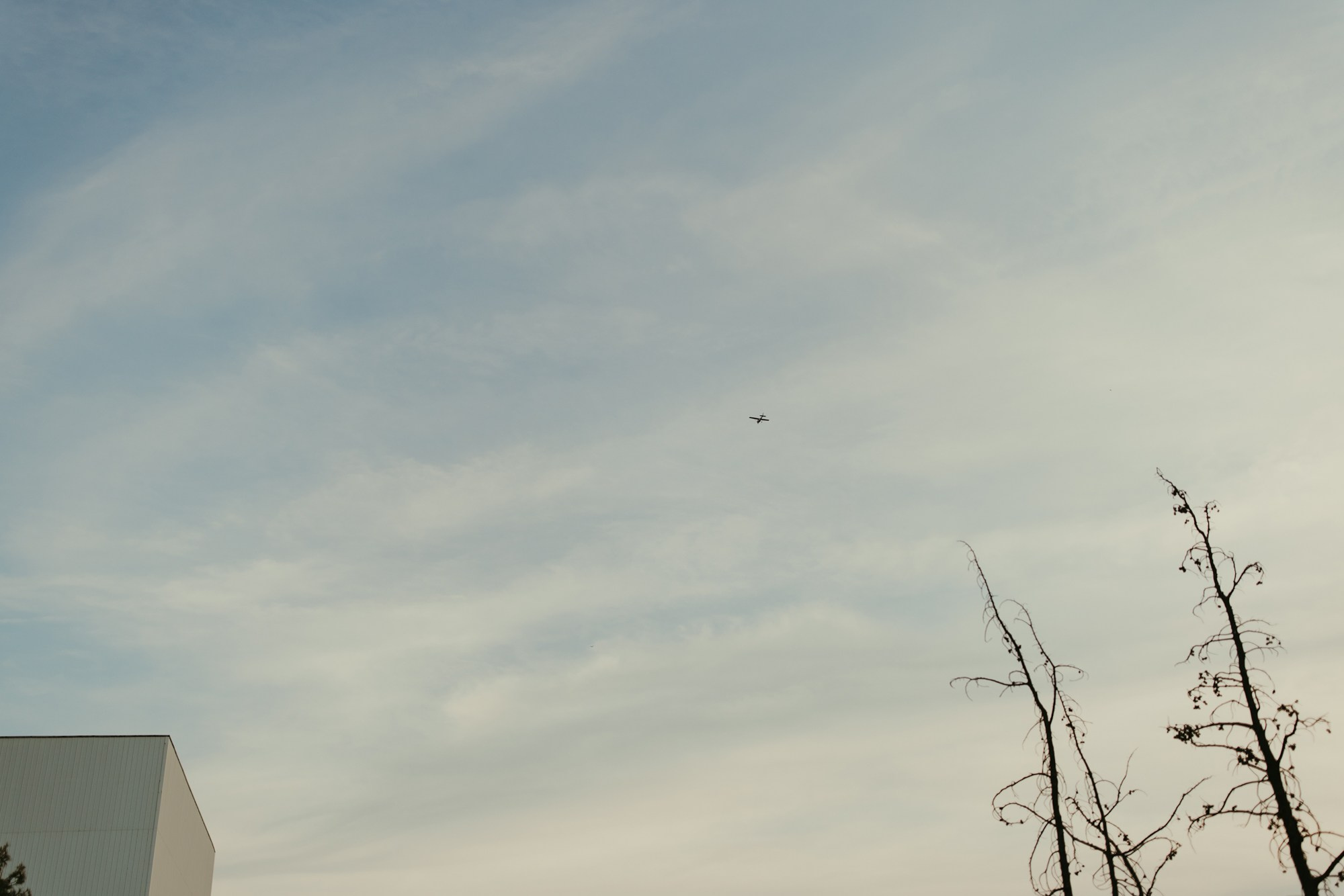 Lambros-Adriana. Fotograf și videograf de nuntă R. Moldova, Romania