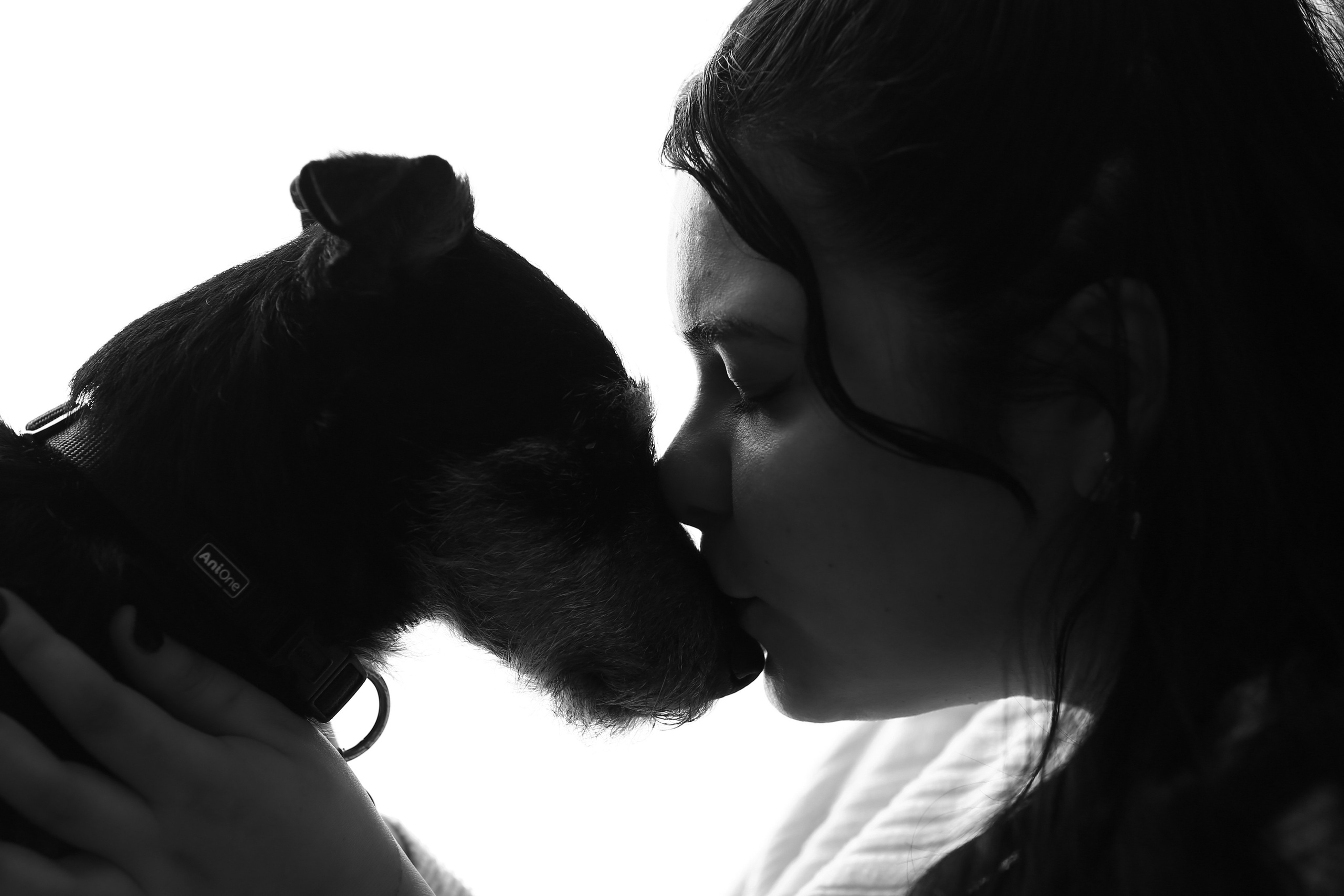 Haustiere. Neugeborenen, Familien, Geschwister Fotografin aus Delmenhorst