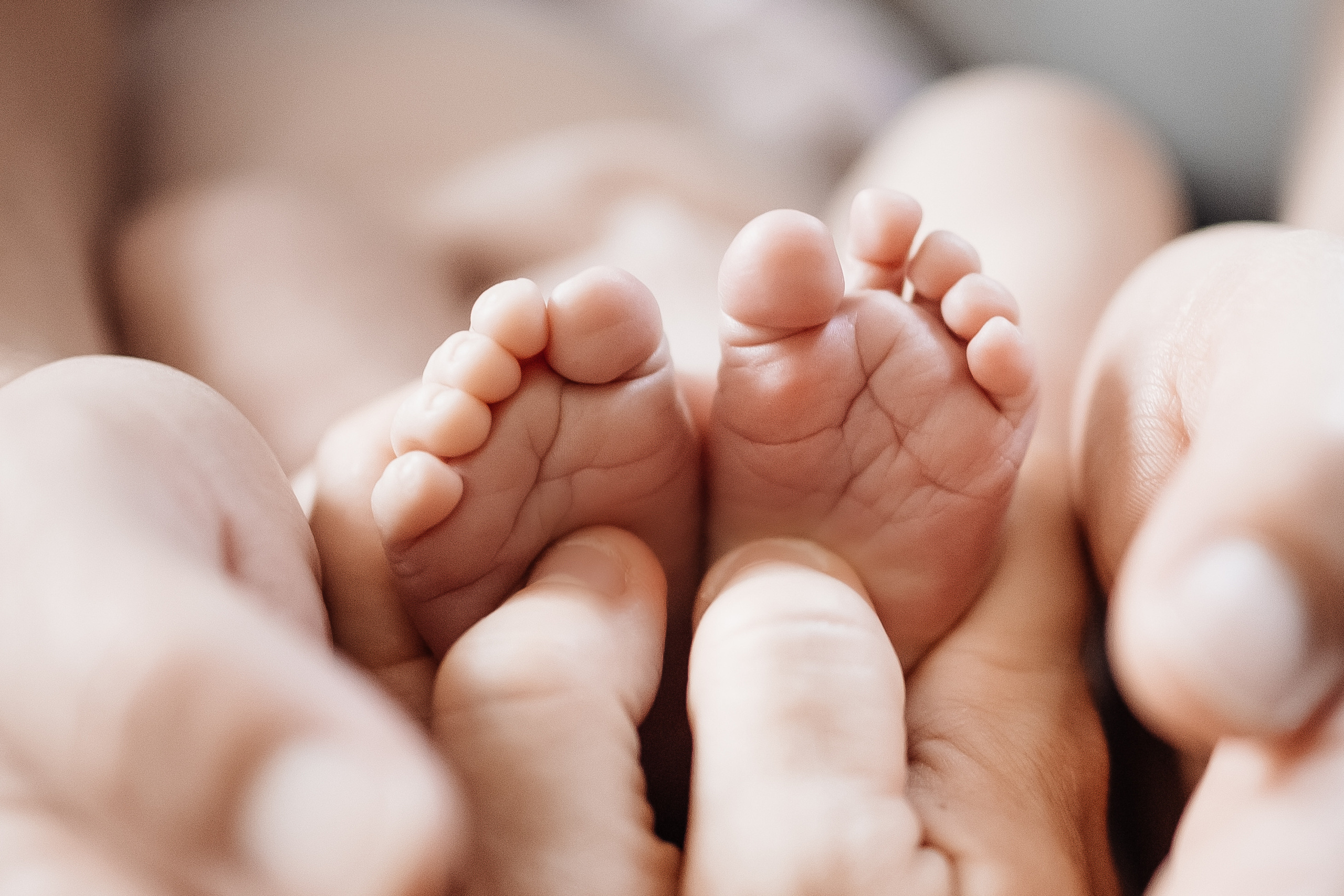 Familien-, Hochzeits- und Newbornfotografin Neustadt an der Weinstraße