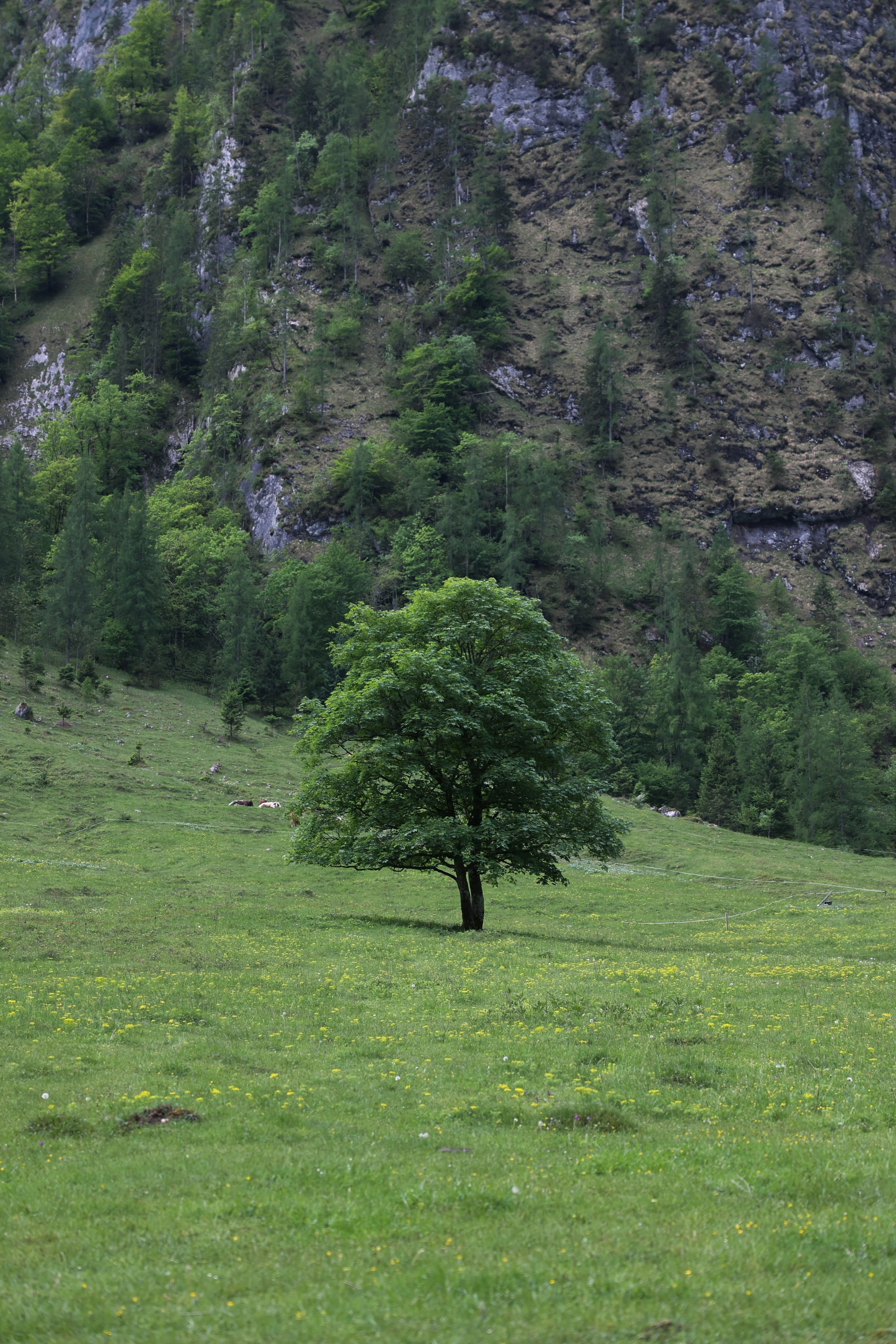 Love Story. Photographer, Videomaker, Drone, Padova, Venice, Italy, Elena Radchenko