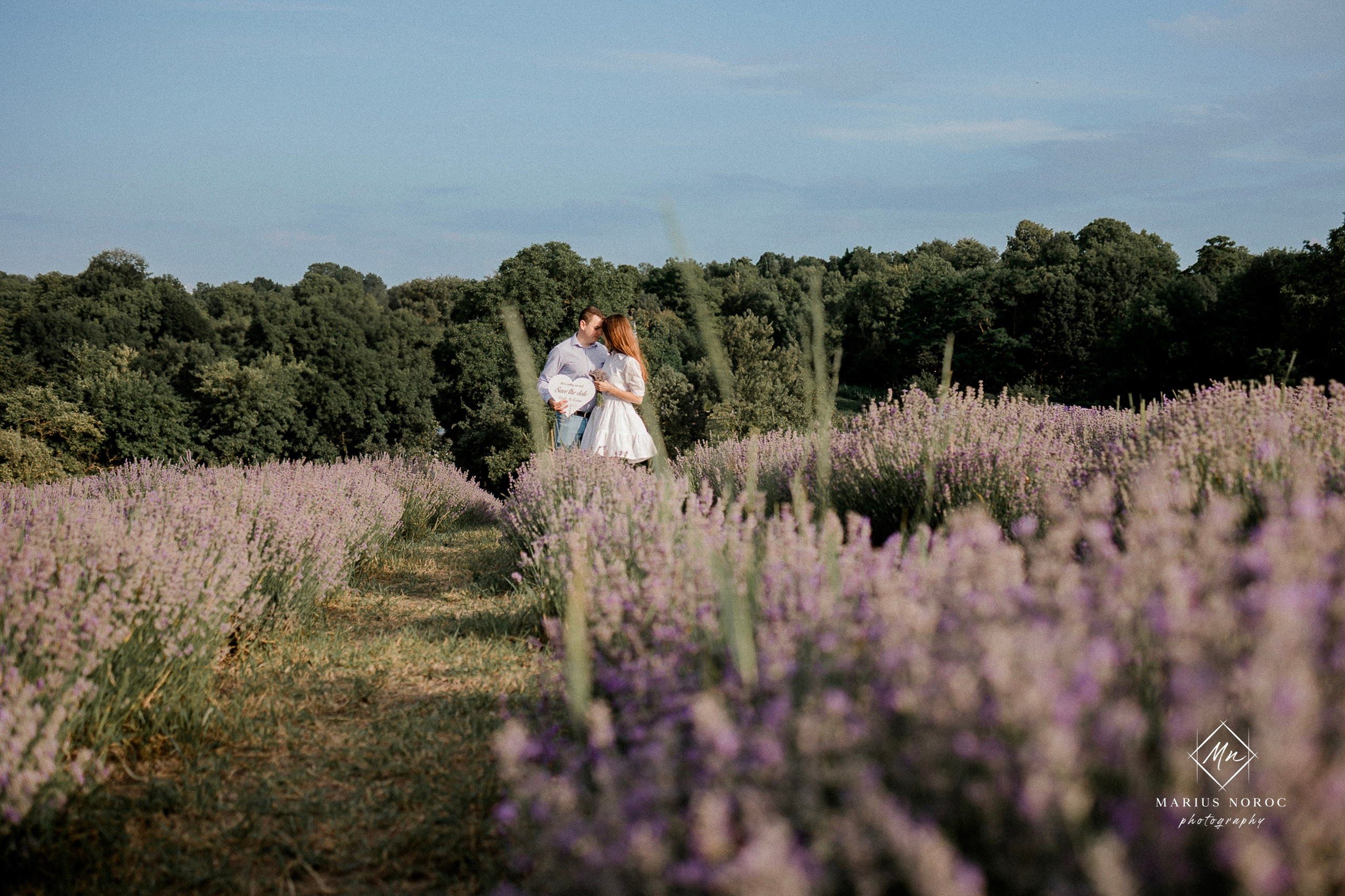 Ședință Foto Save the Date | Corina & Vasi | Ipotesti Lavender Farm