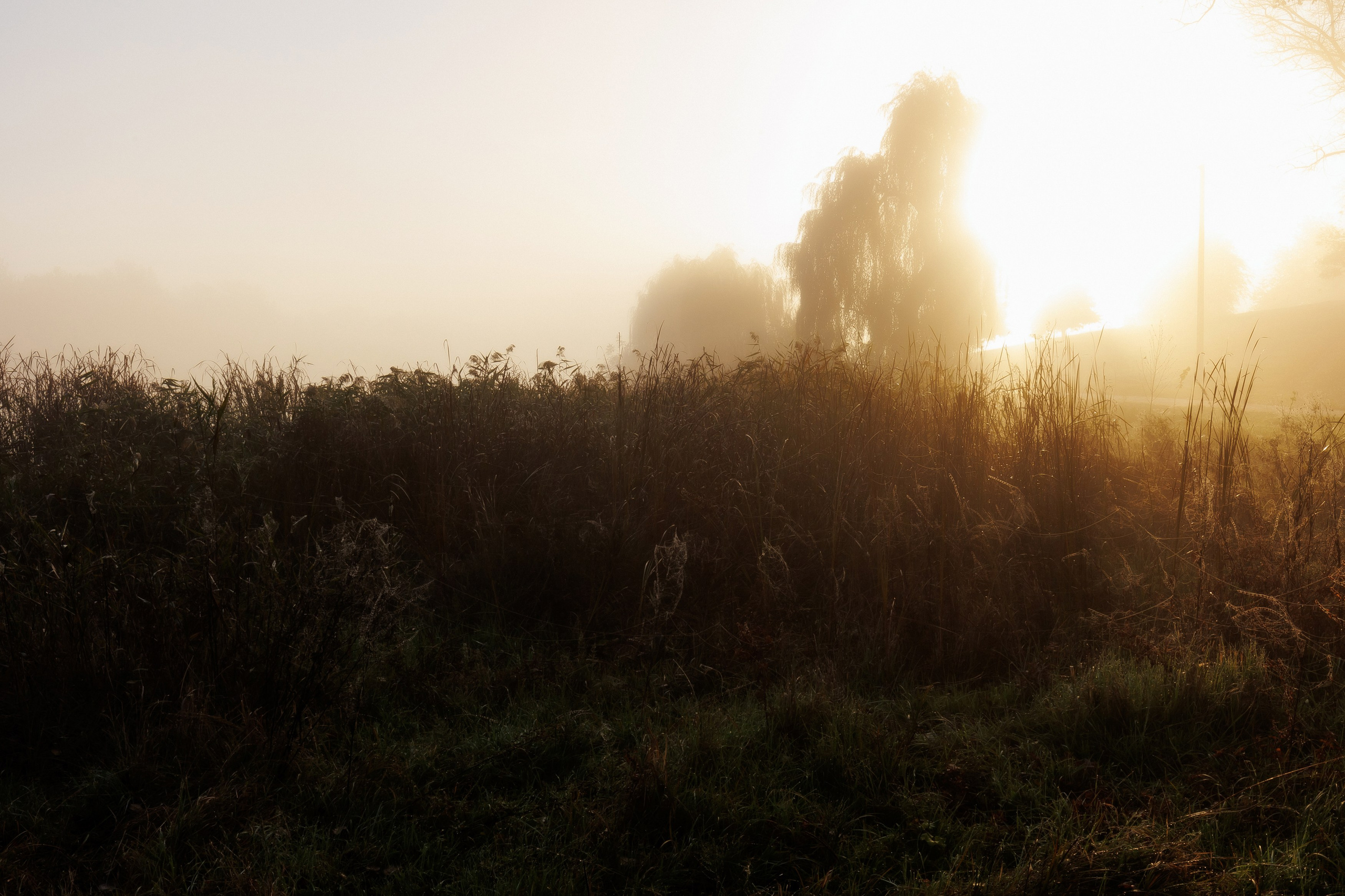 MARIANA — AUTUMN TIME. Fulga Photographer