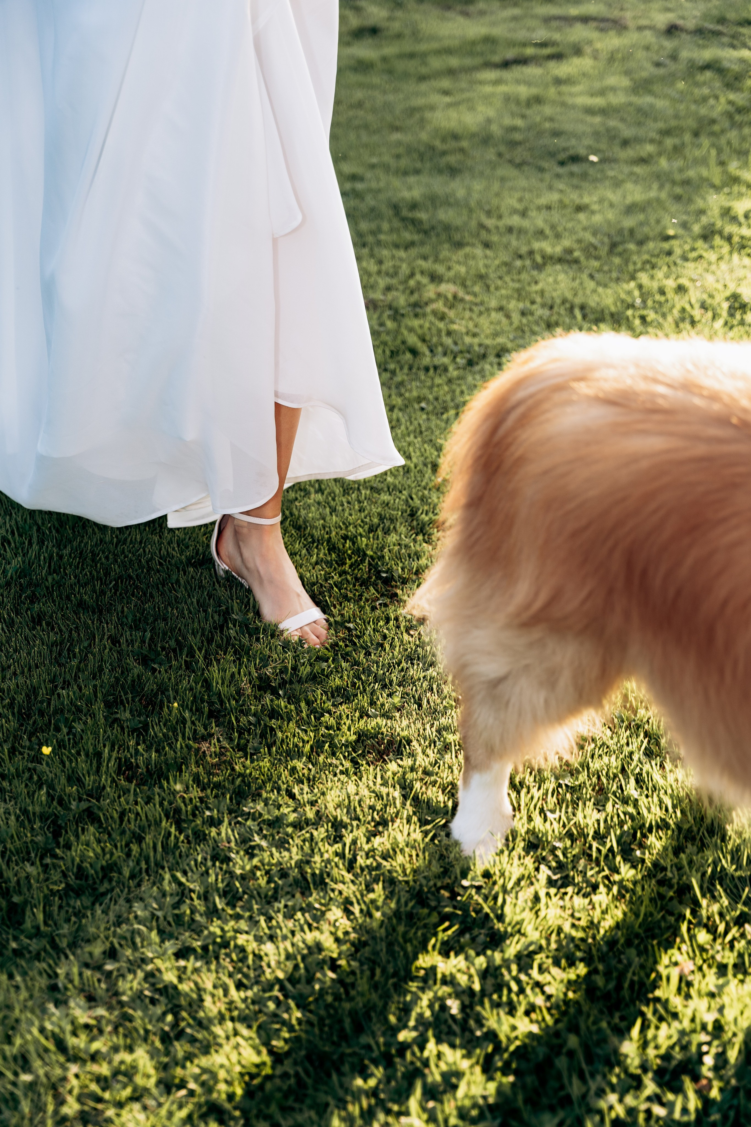 D&P. SL Wedding Photo: ponadczasowa 💍 fotografia ślubna | Wrocław & Europa