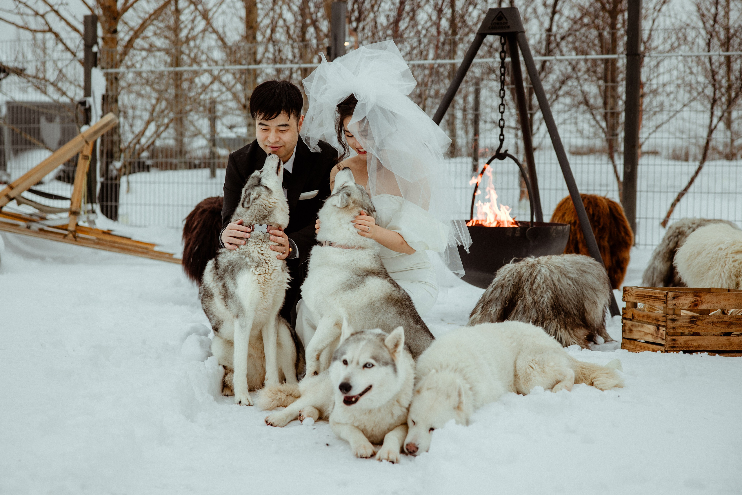 Zhou+Nan | 2 days elopement in Iceland. Iceland elopement photo and video | Nikolaichik Photo