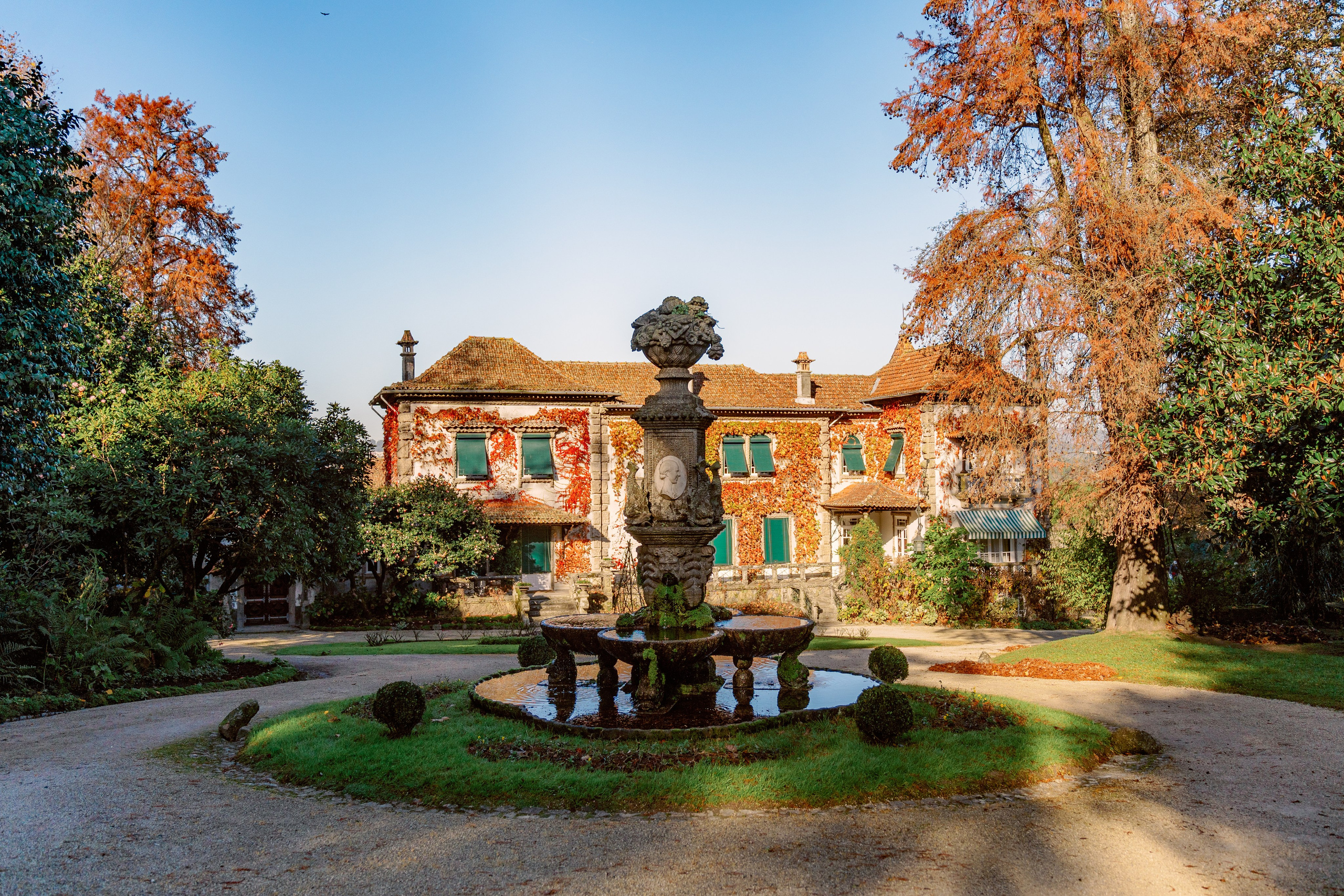 Винью Верде на ½ дня