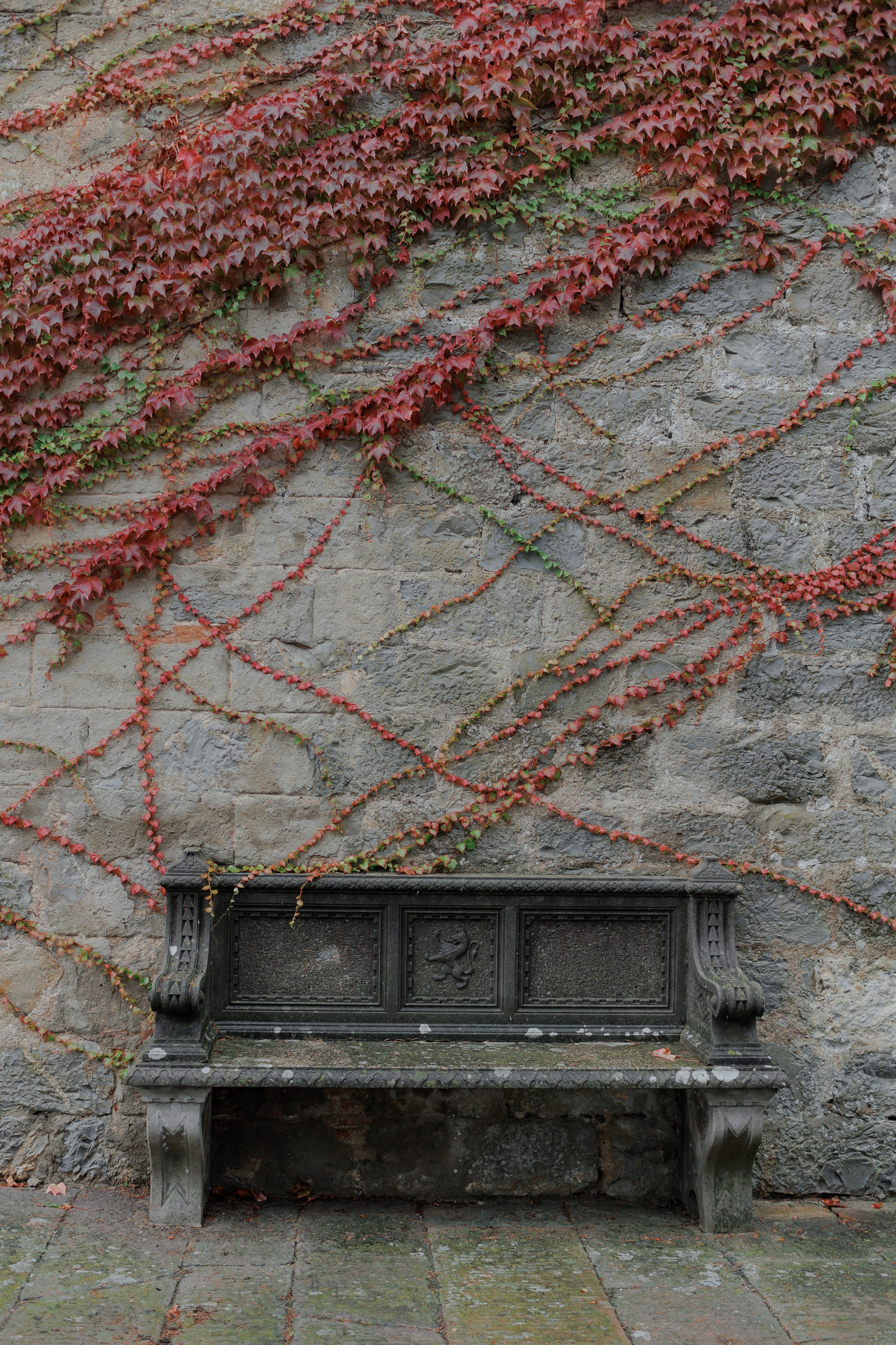 Ekateryna&David wedding in Tuscany. Wedding photographer Italy