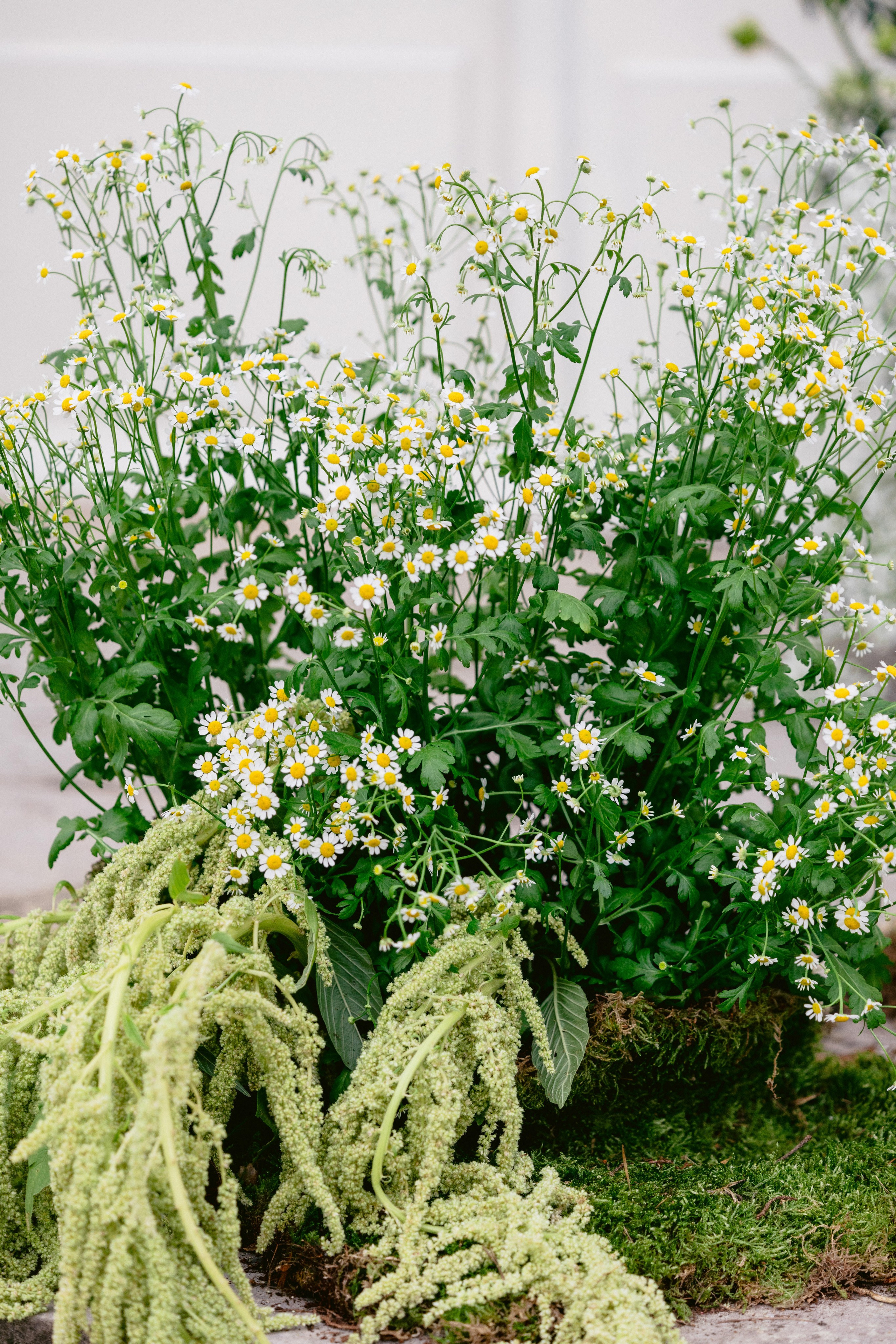 Editorial Château de Champlâtreux | Paris