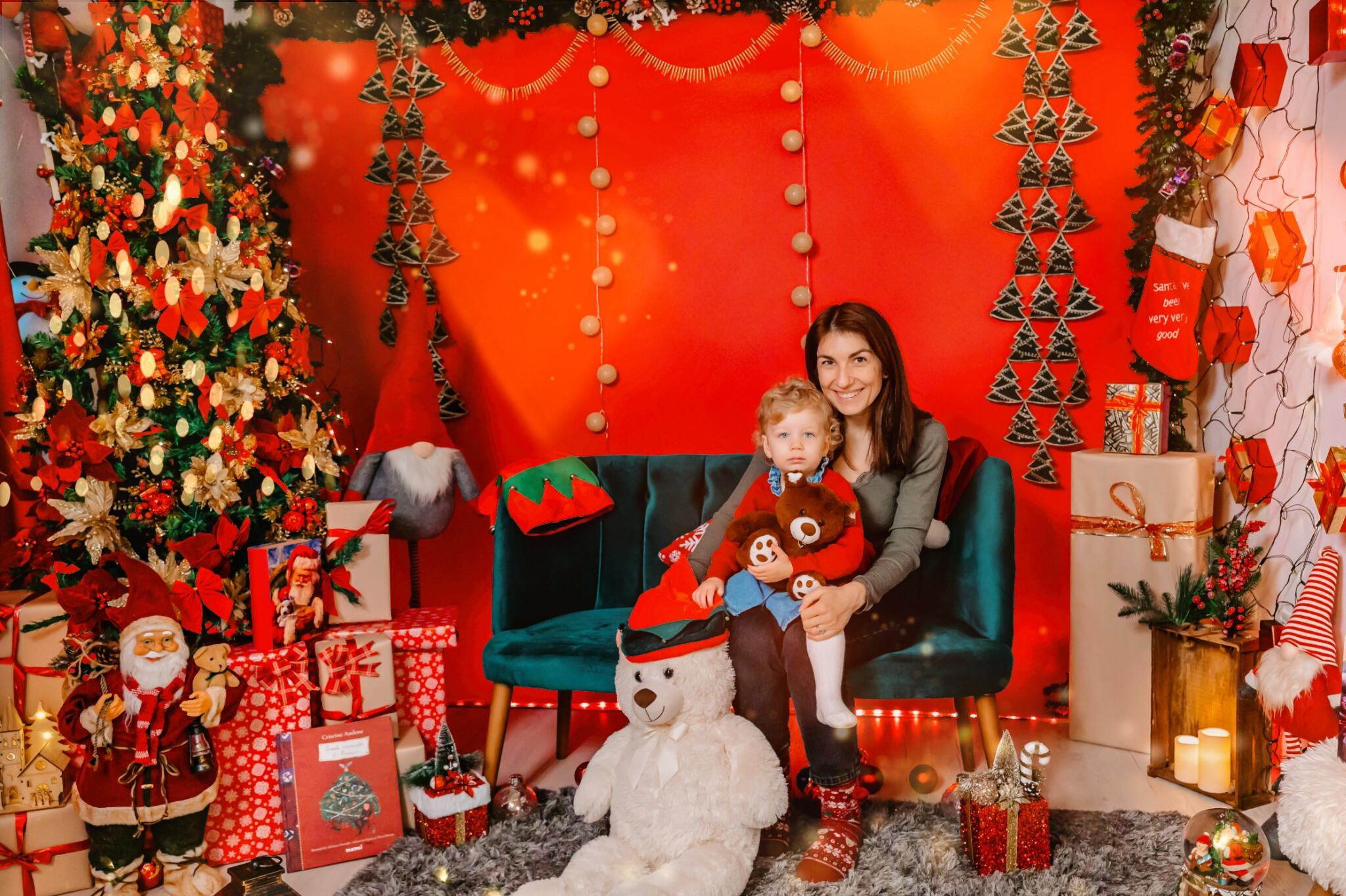 Sedinta Craciun Lucian